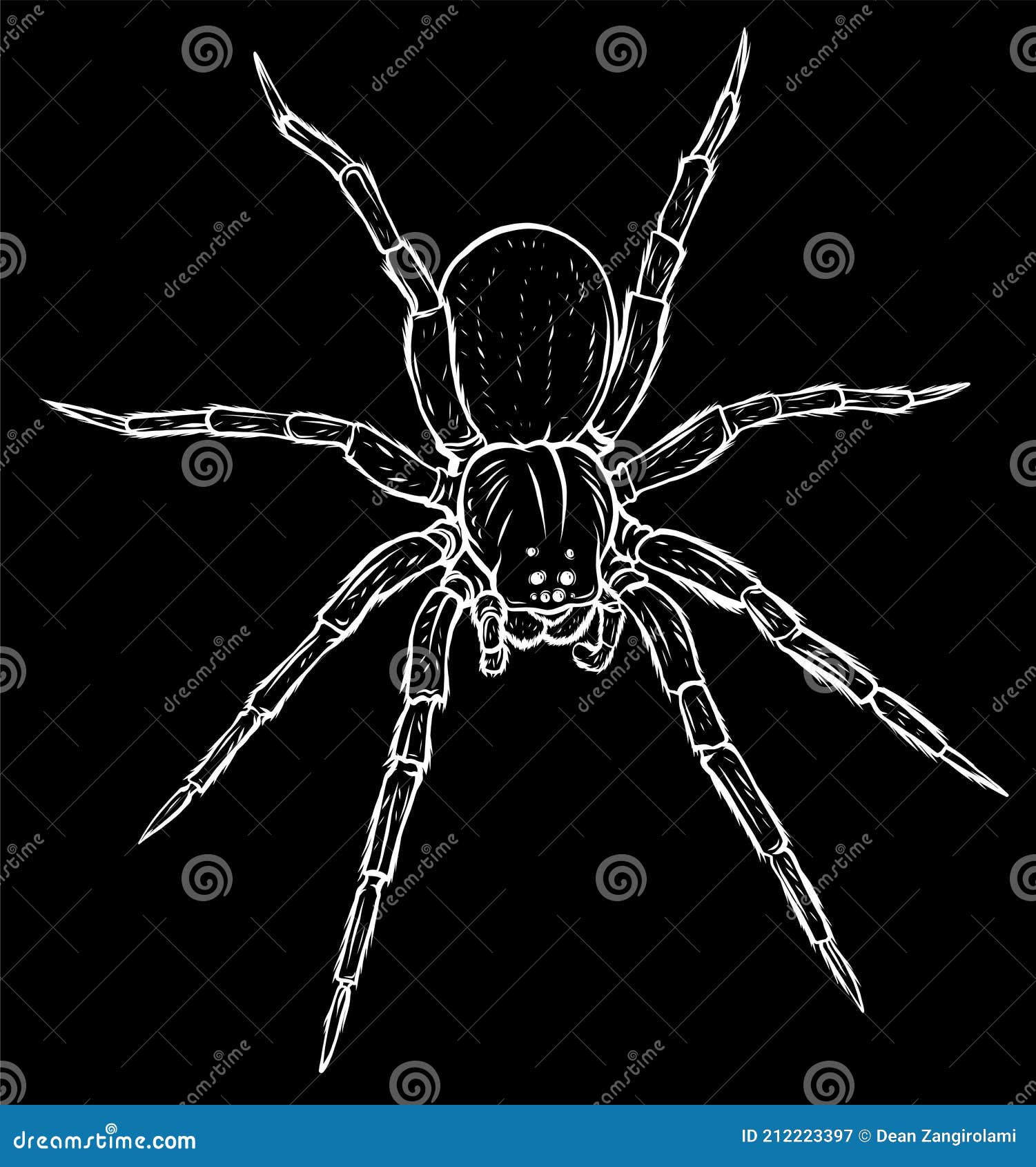 Wallpaper #46455 Brown Spider Cartoon Isolated Illustration Stock Vector Image Art Alamy