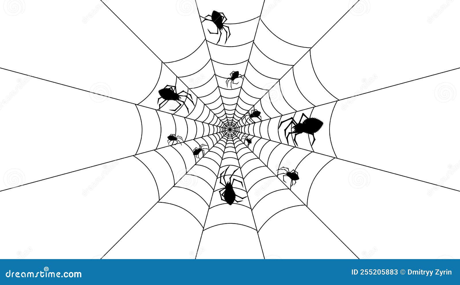 Wallpaper #52dP85IBSpphPi3-BnRA477 Spiders on Web with White Background Halloween Background Design