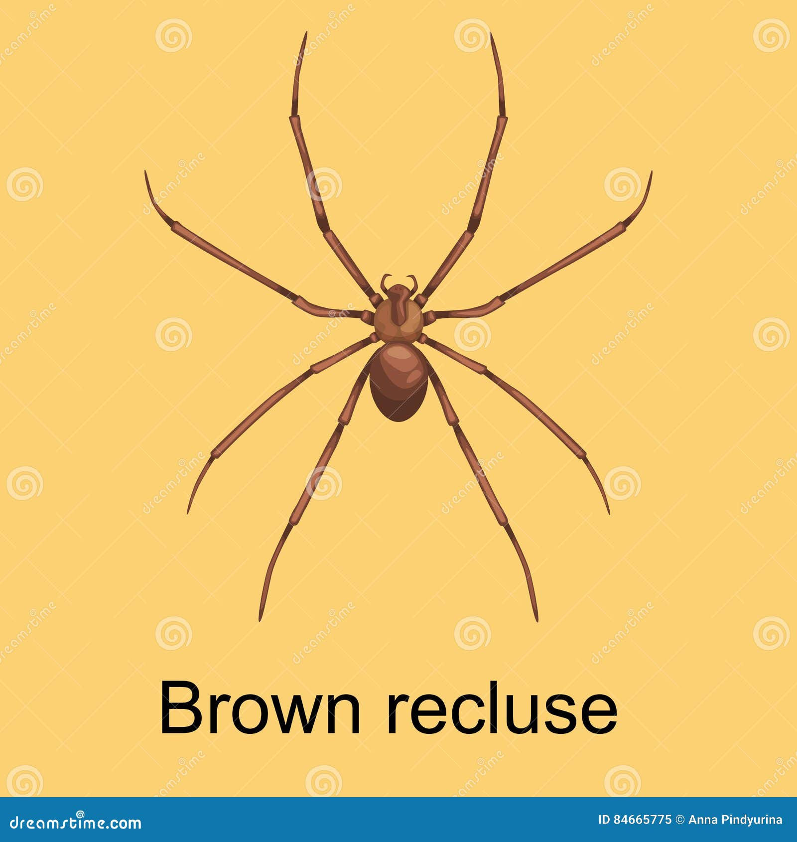 Wallpaper #46455 Brown Spider Cartoon Isolated Illustration Stock Vector Image Art Alamy