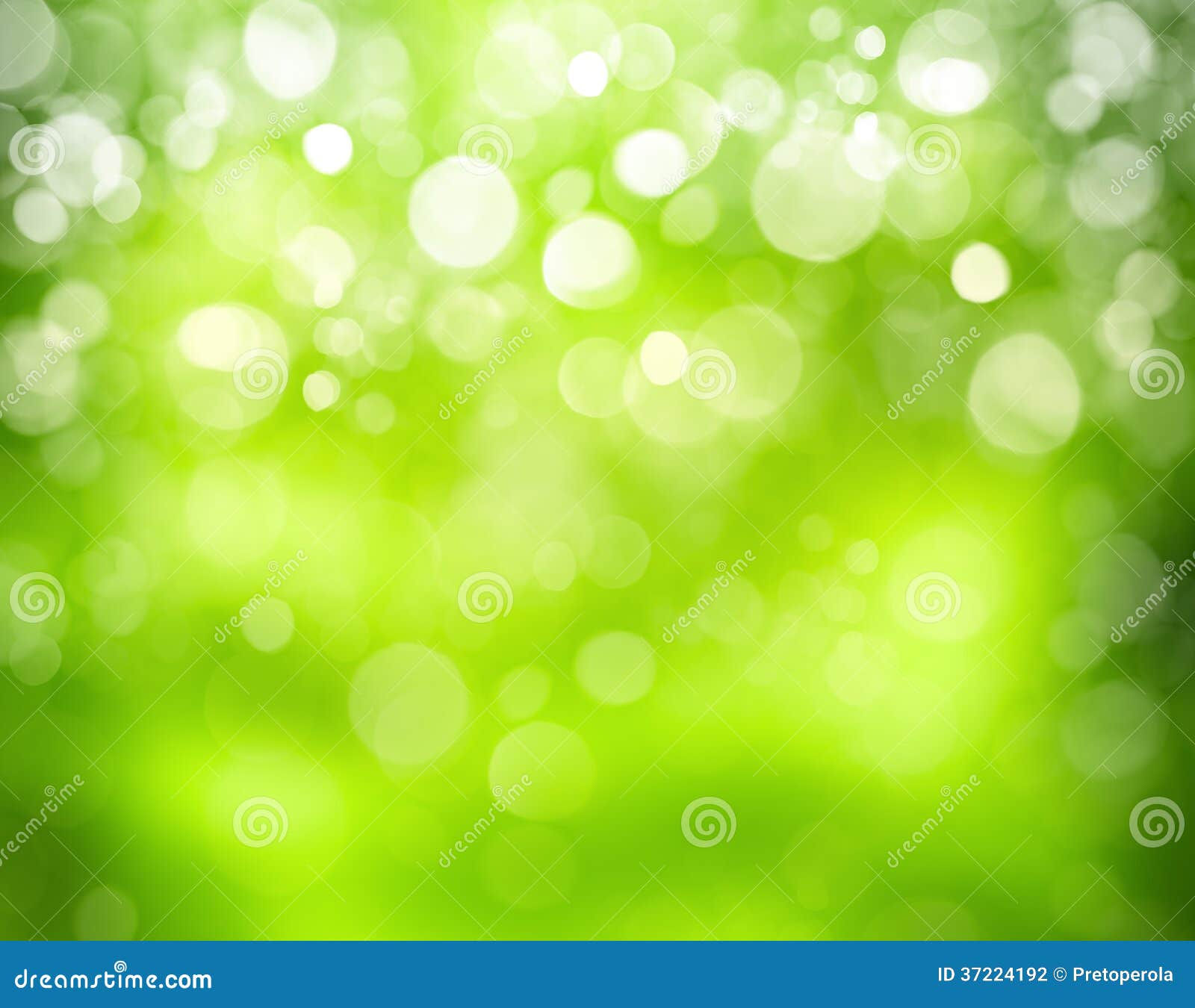 Wallpaper #1mjGGZMBSpphPi3-6hiW130 Sunny Abstract Green Nature Background Stock Photo Image of Forest