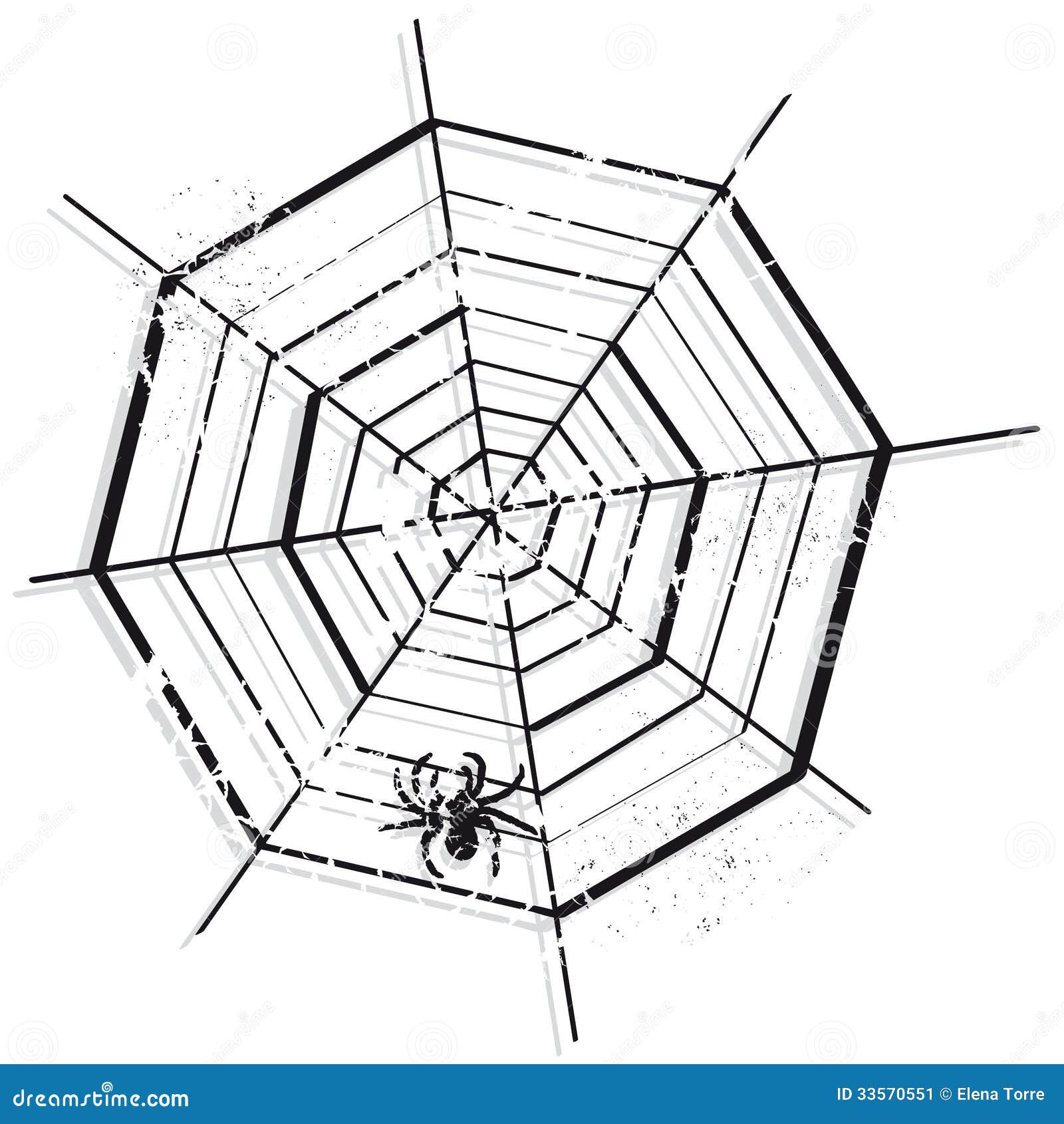 Wallpaper #cGgHF5MBSpphPi3-TQ0z45 Spider Web Vector Stock Vector Illustration of Drawing 33570551