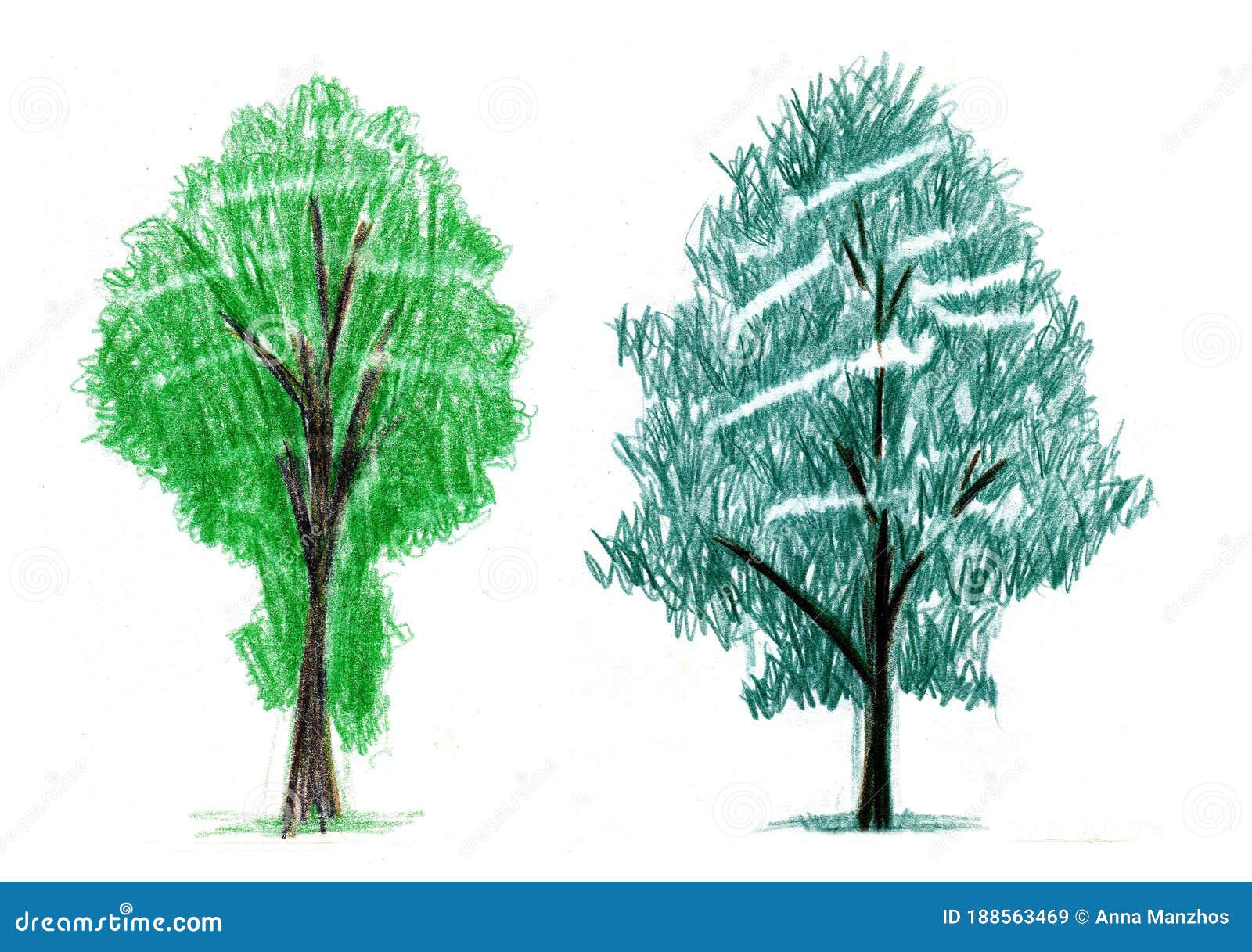 Wallpaper #BWgvFZMBSpphPi3-Zwec190 Set of Trees Created by Colored Pencils Stock Illustration