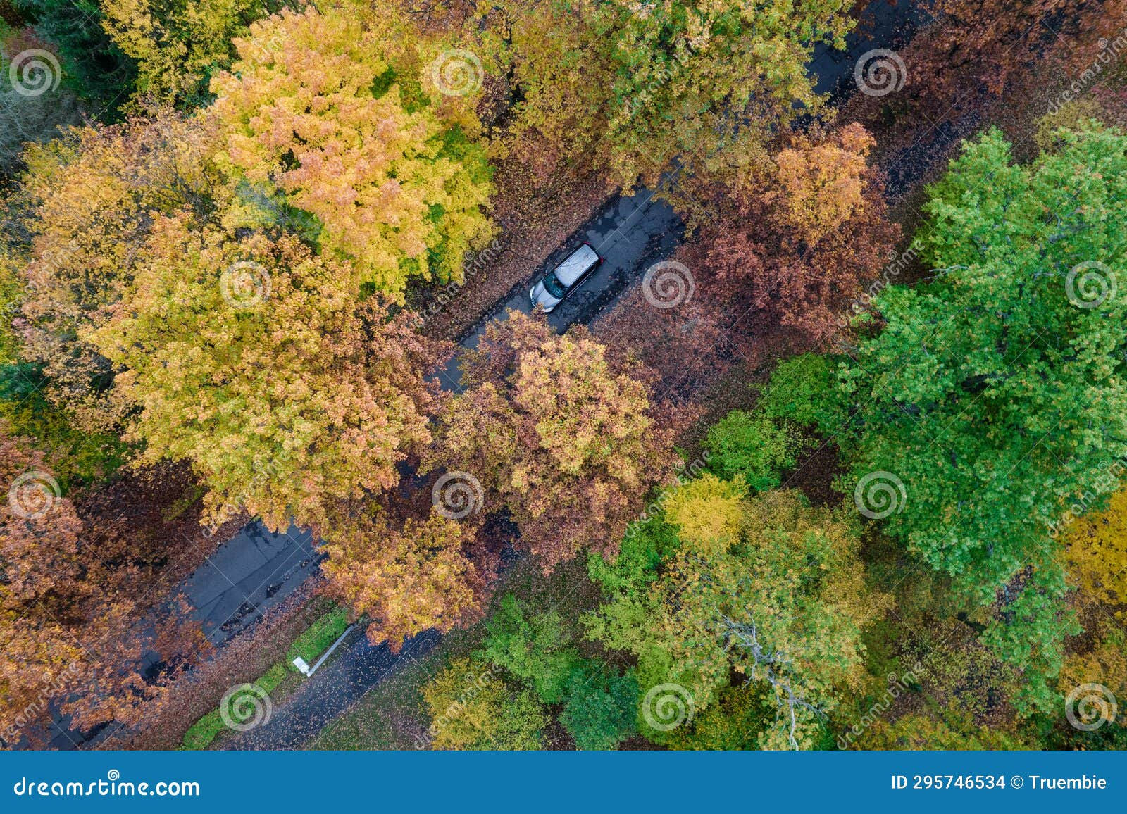 Wallpaper #rWgUHJMBSpphPi3-8SFd278 Aerial View on a Road in Autumn Forest Stock Photo Image of Colorful