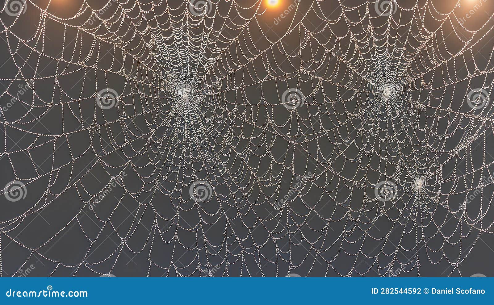 Wallpaper #zpwf4pIBZHQxiYarj74D382 A Spider Web with Lights Hanging from It Generative AI Stock