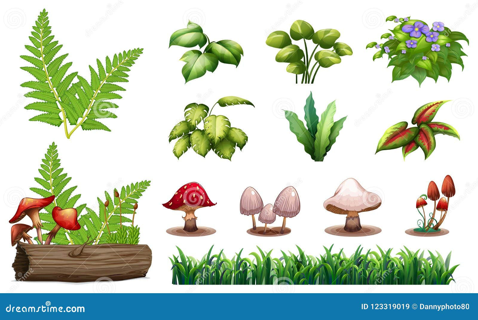 Wallpaper #lGcDC5MBSpphPi3-T9ct27 Set of Forest Plants Stock Vector Illustration of Object 123319019