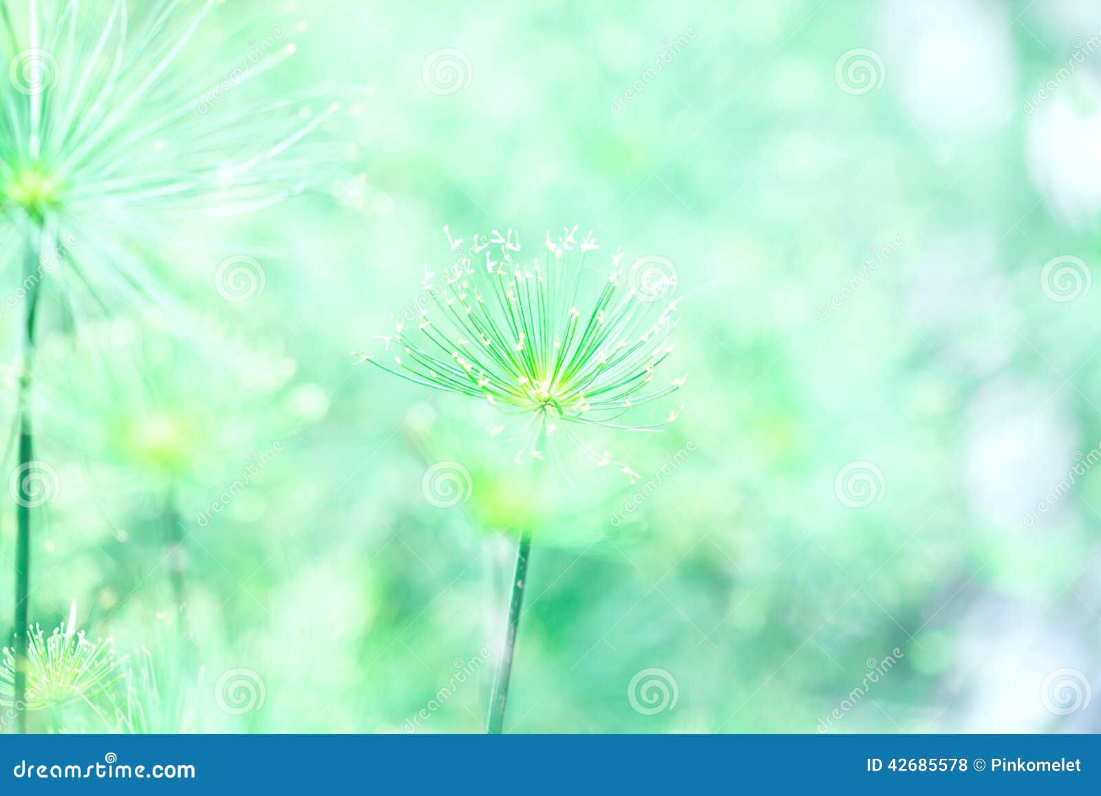 Wallpaper #1mjGGZMBSpphPi3-6hiW195 Soft Green Nature Abstract Background Stock Photo Image of Space