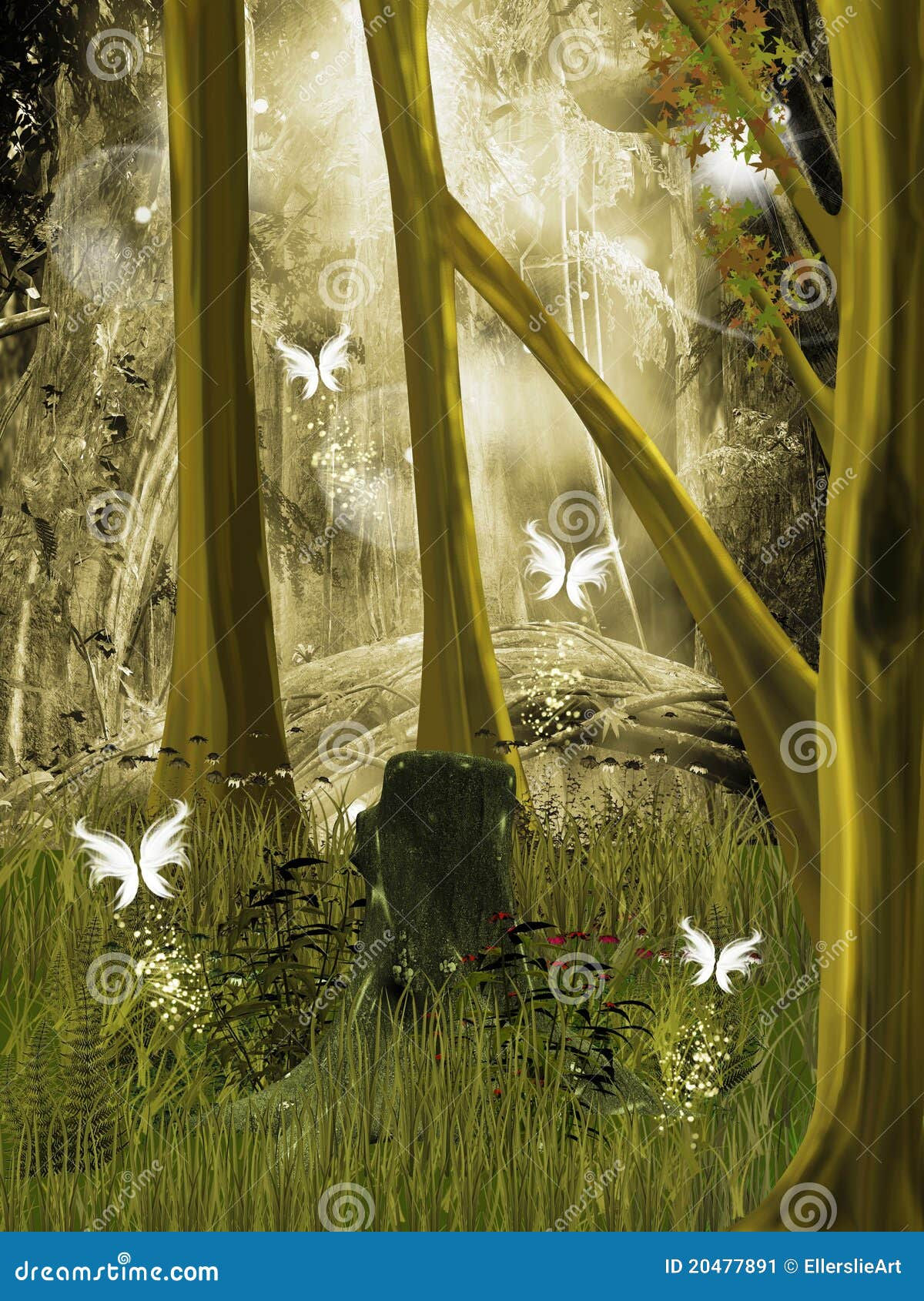 Wallpaper #r2fTEJMBSpphPi3-HPTq50 Secret Place in the Middle of the Forest Stock Image Image of Spell