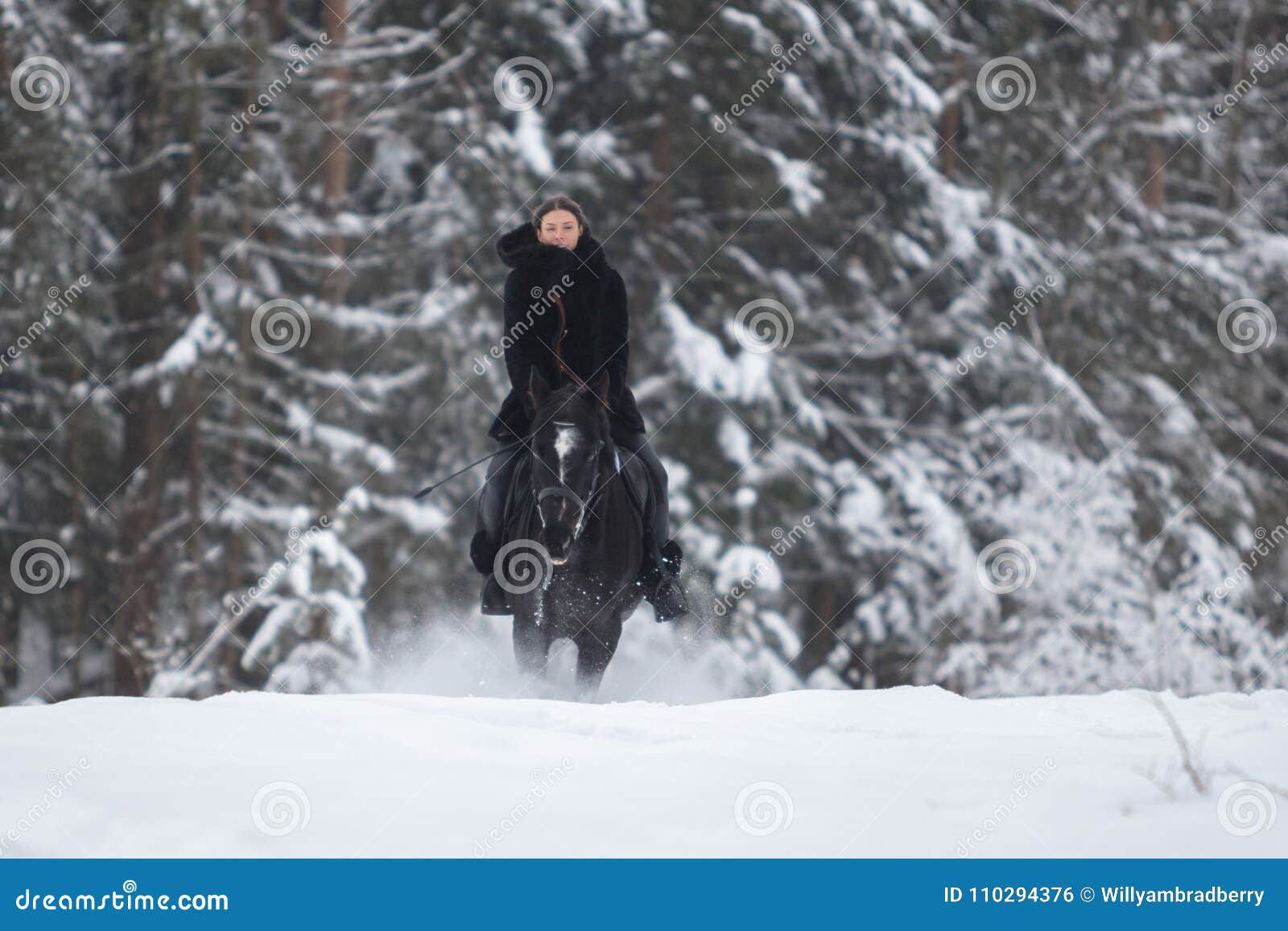 Wallpaper #Rmc1DJMBSpphPi3-Bt0d40 Black Horse Running in Snow on Winter Background Stock Photo Image of