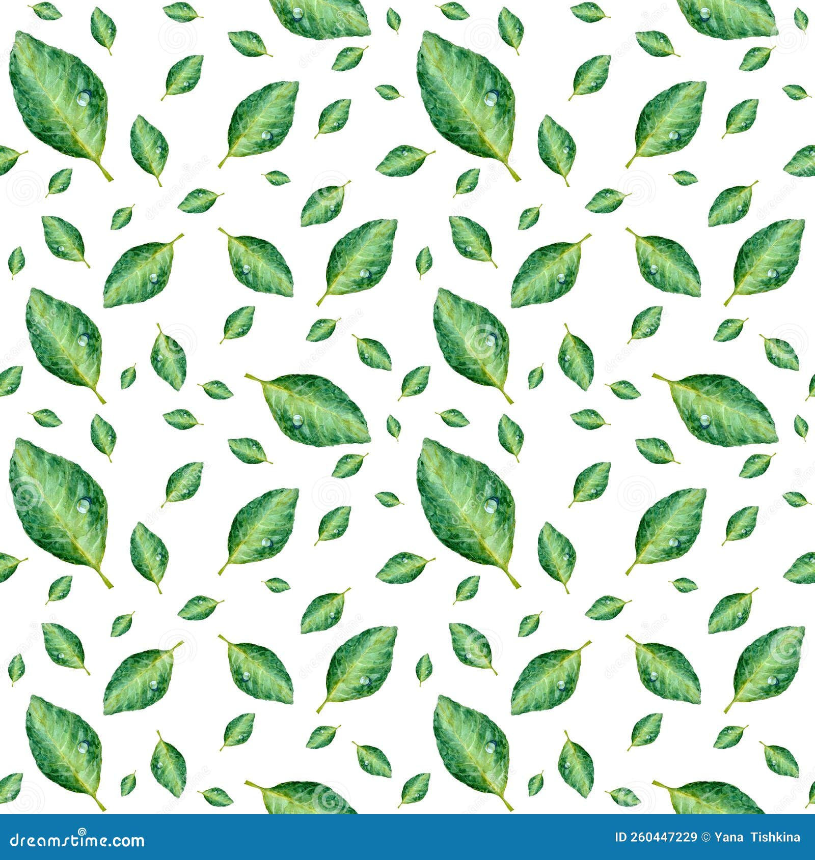 Wallpaper #am19apcBycdYOYFTxHE620 Green Leaf with Drop a Seamless Pattern Stock Illustration