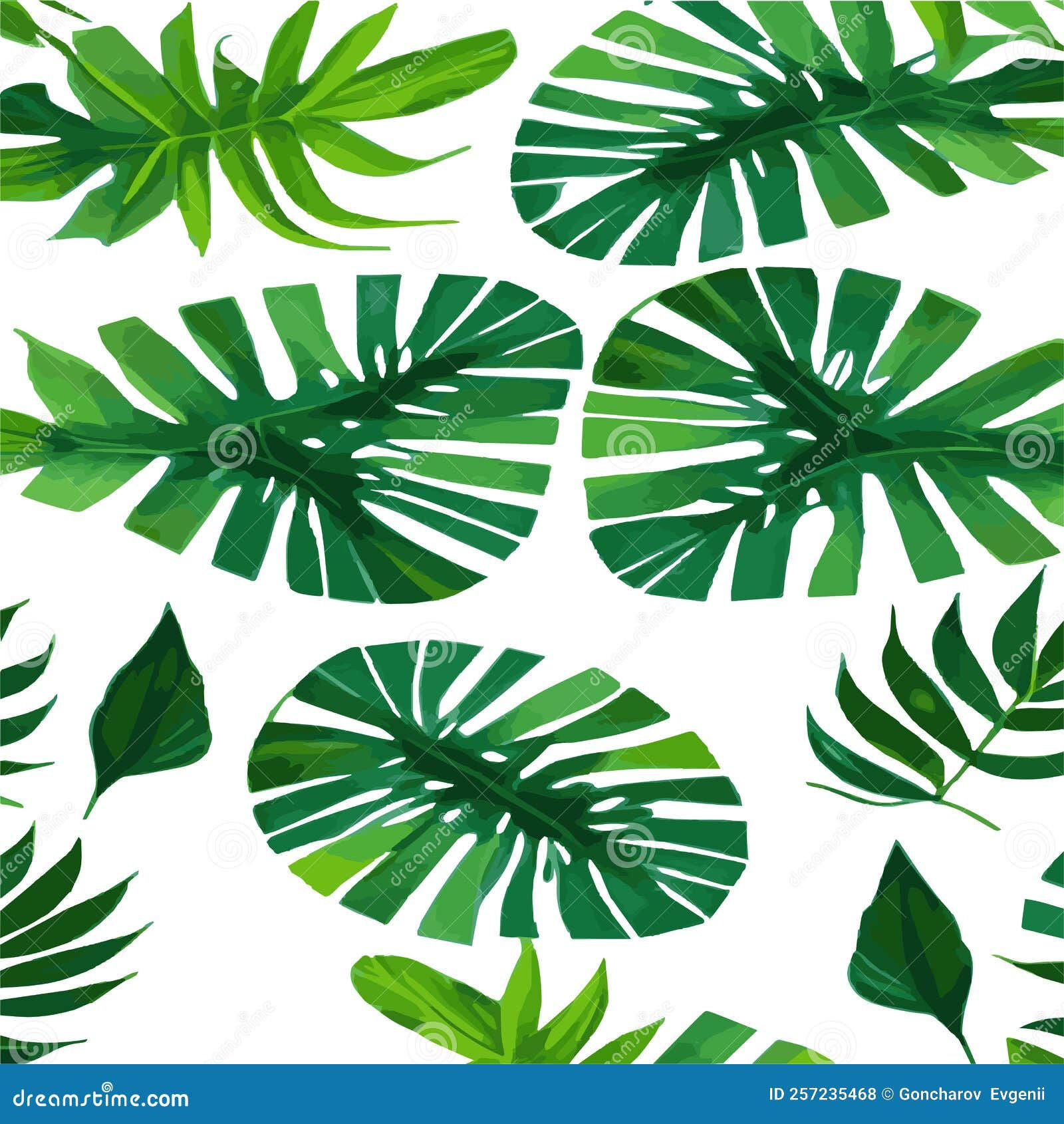 Wallpaper #am19apcBycdYOYFTxHE6107 Green Monstera Pattern White Background Exotic Pattern with Tropical