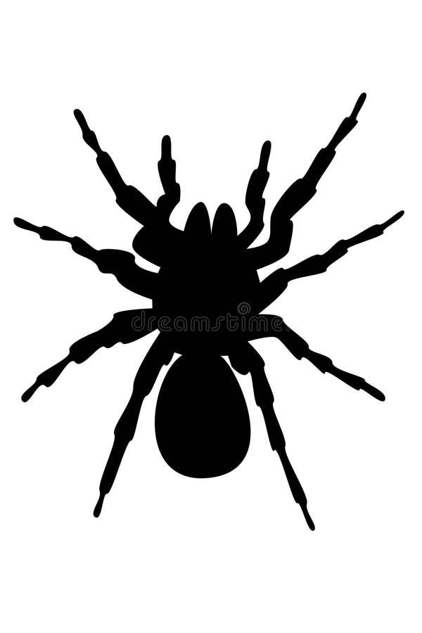 Wallpaper #71bf1 Pin by Kayleigh on Spider Drawings in 2024 Spiderman Drawing