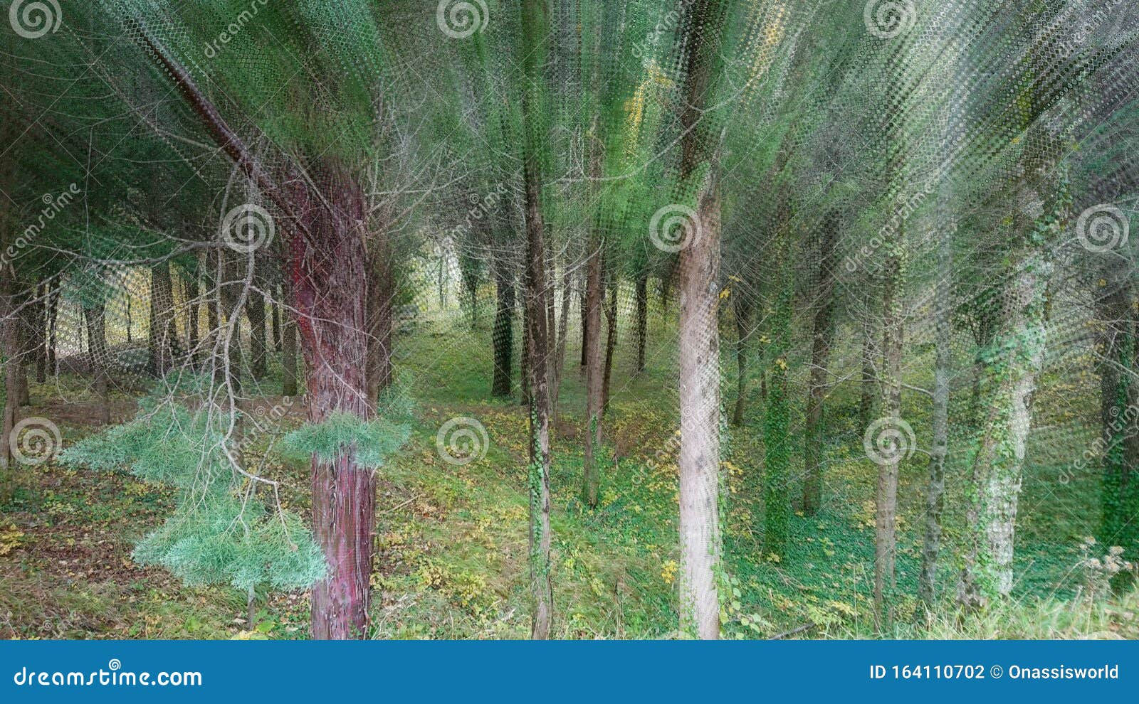 Wallpaper #BGdQC5MBSpphPi3-qtkV175 Forest Pine Trees Abstract Art Stock Foto Image of Bomen Pijnboom