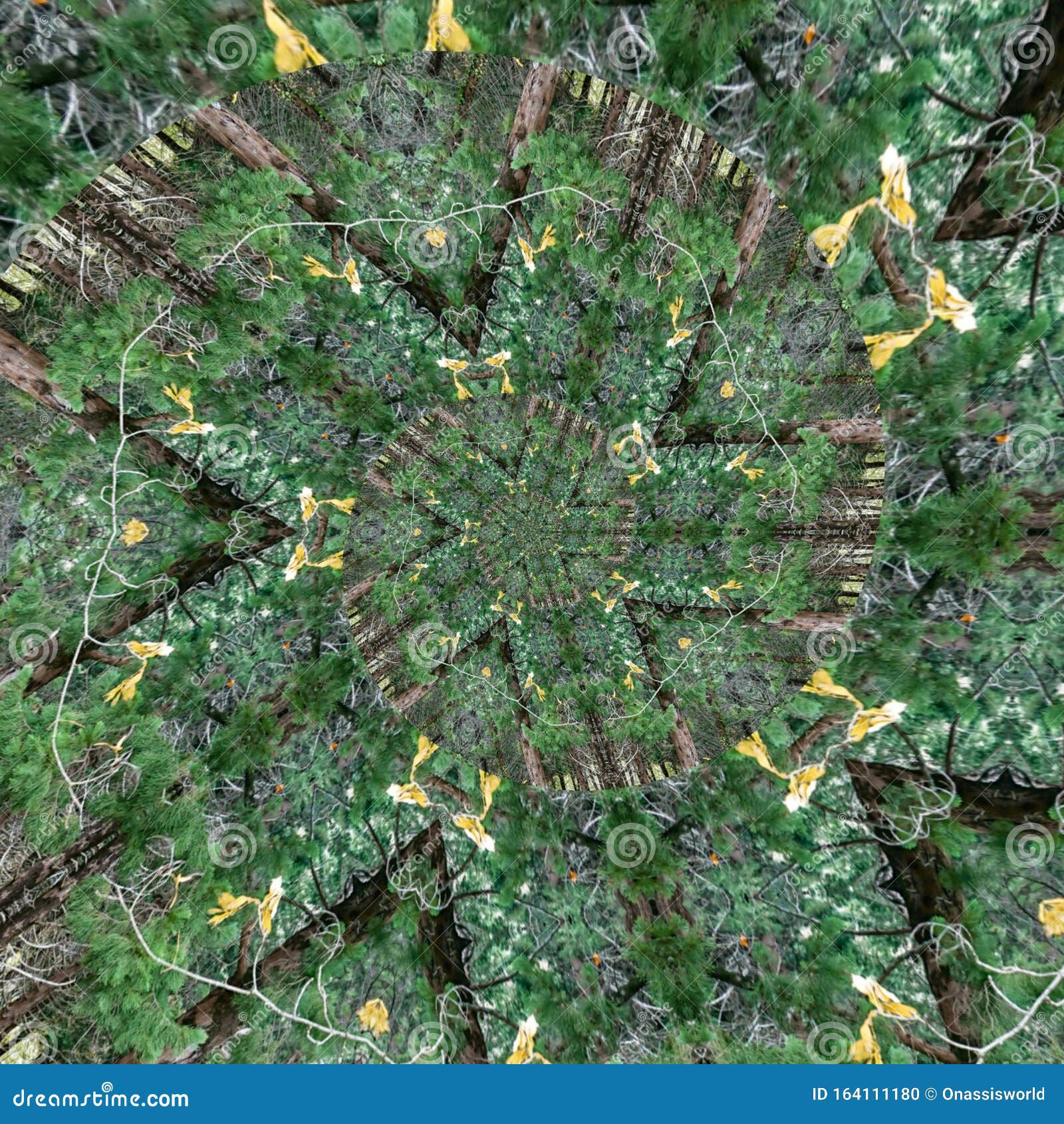 Wallpaper #BGdQC5MBSpphPi3-qtkV65 Forest Pine Trees Abstract Art Stock Photo Image of Trees Abstract