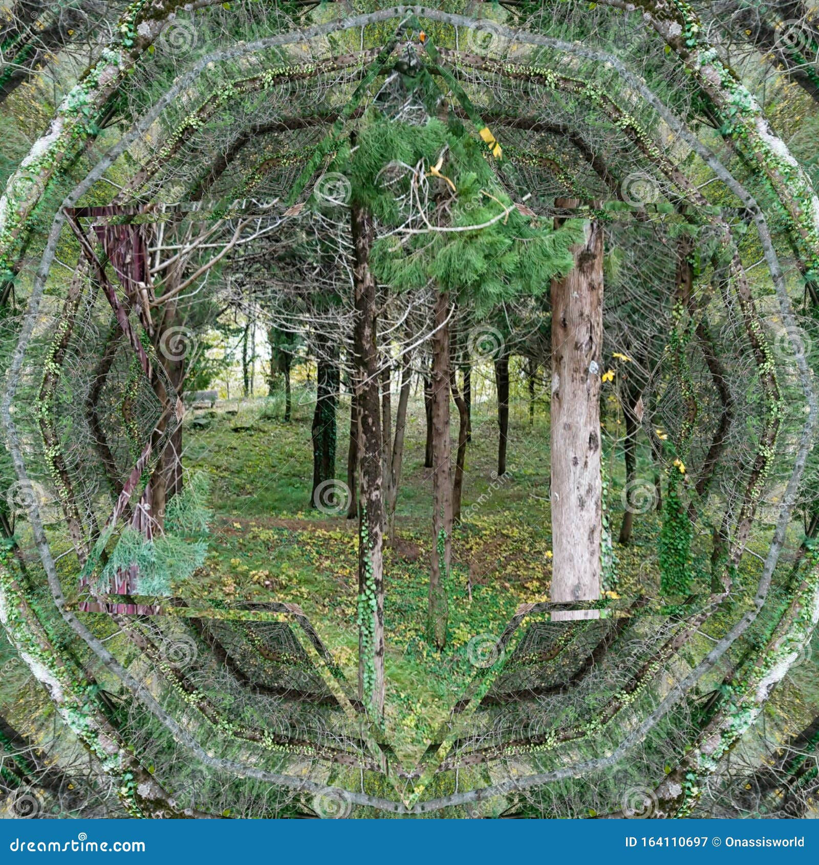 Wallpaper #BGdQC5MBSpphPi3-qtkV112 Forest Pine Trees Abstract Art Stock Illustration Illustration of