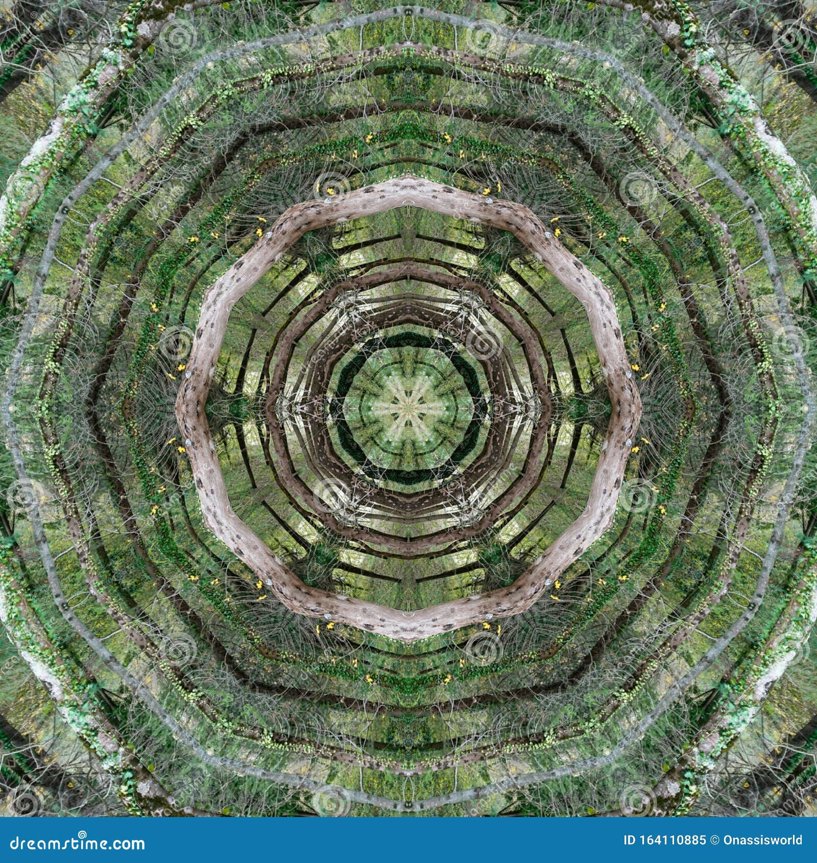 Wallpaper #BGdQC5MBSpphPi3-qtkV93 Forest Pine Trees Abstract Art Stock Illustration Illustration of