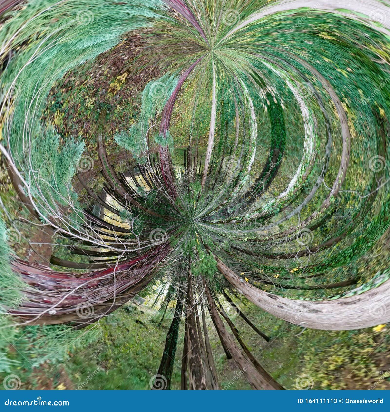 Wallpaper #BGdQC5MBSpphPi3-qtkV22 Forest Pine Trees Abstract Art Stock Illustration Illustration of