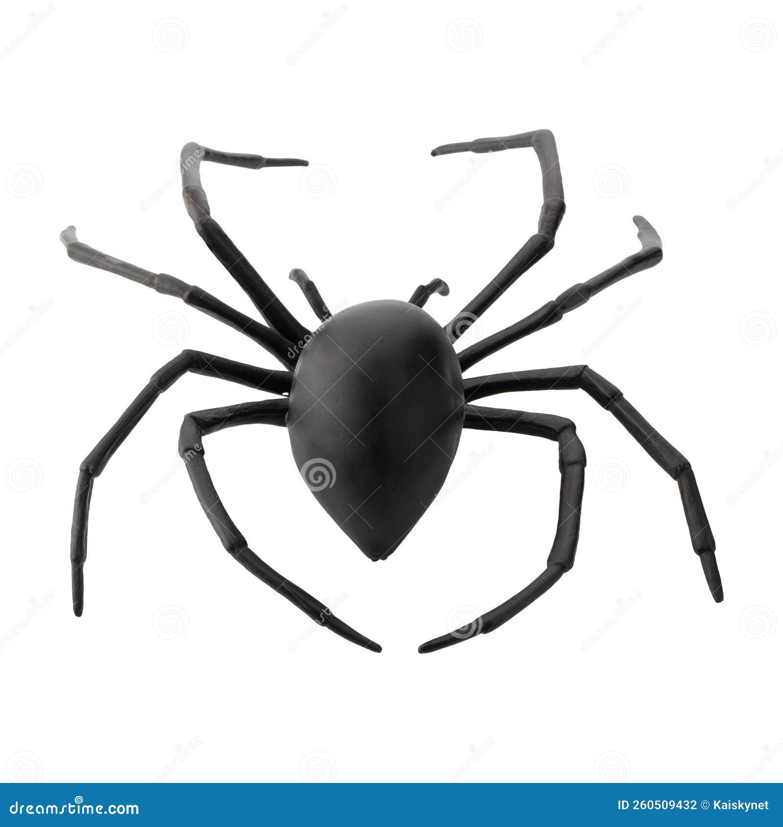 Wallpaper #1fQOOpMBKFX8bn3r-3cr372 Fake Rubber Spider Toy Isolated Over a White Background Stock Photo