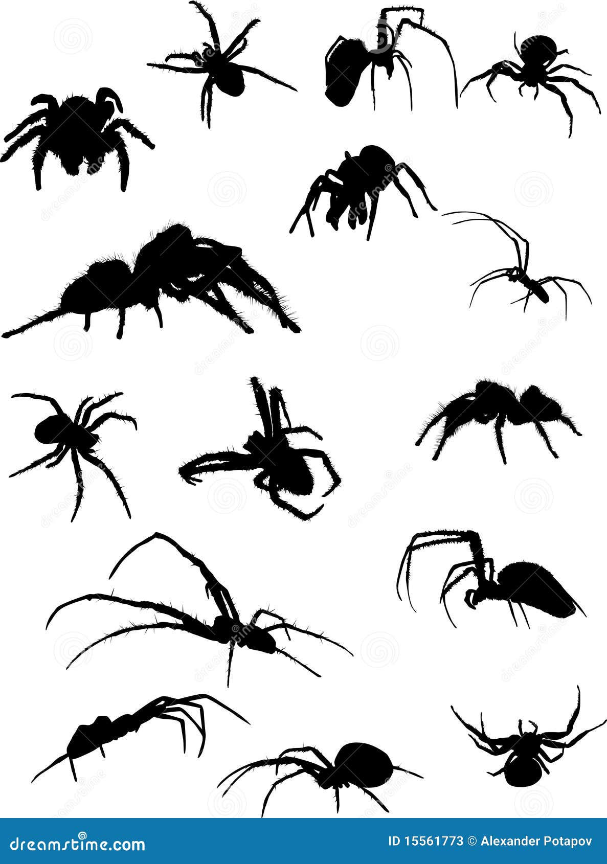 Wallpaper #be81TZMBMN-XEVvVUz--346 Fifteen Spider Silhouettes Stock Vector Illustration of Collection