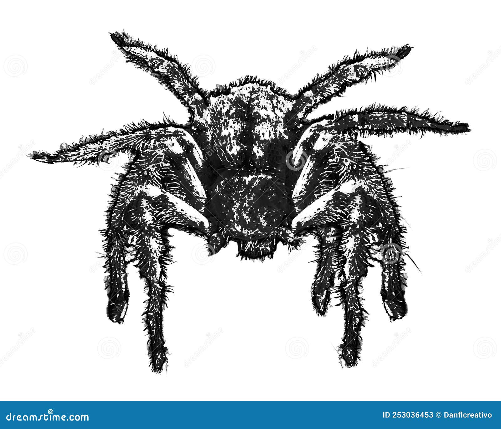Wallpaper #VWcg6ZIBSpphPi3-e0A-190 Big Spider Graphic Stock Illustration Illustration of Jumper 253036453