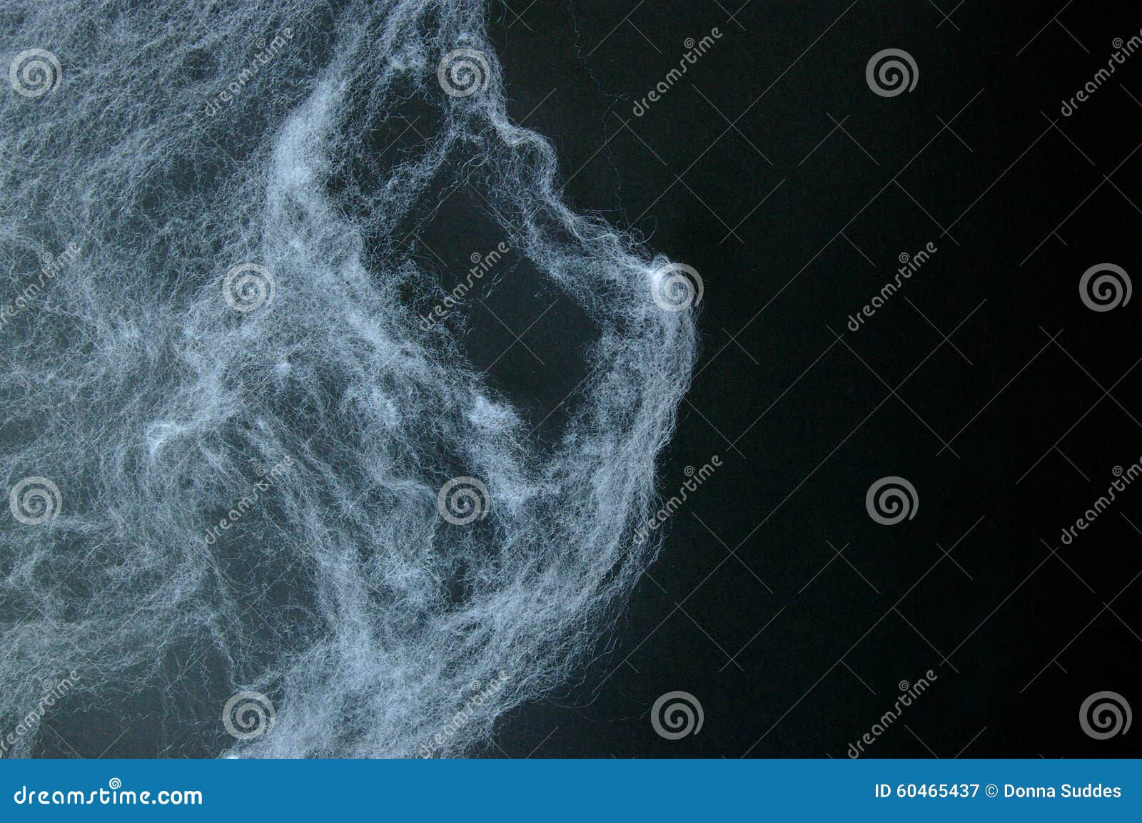 Wallpaper #NP8hZ5MB3lSXT3zUKuKu247 Fake Spider Webs on Black Background Stock Image Image of White