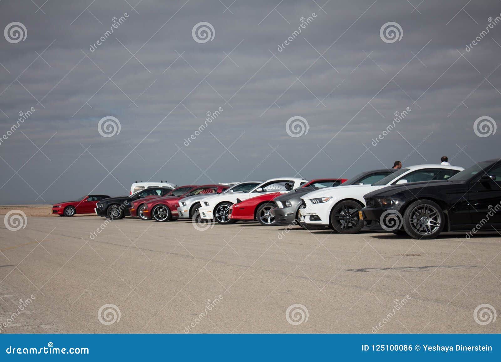 Wallpaper #6Wc87JIBSpphPi3-LlGq235 Ford Mustangs on the Race Track and on the Roads of the Desert