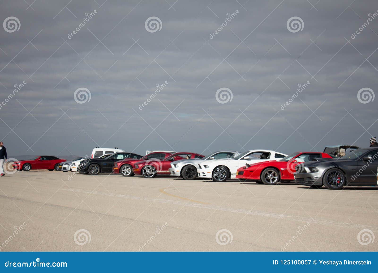 Wallpaper #6Wc87JIBSpphPi3-LlGq251 Ford Mustangs on the Race Track and on the Roads of the Desert