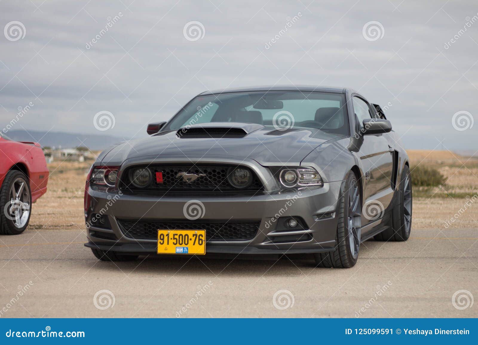 Wallpaper #6Wc87JIBSpphPi3-LlGq224 Ford Mustangs on the Race Track and on the Roads of the Desert