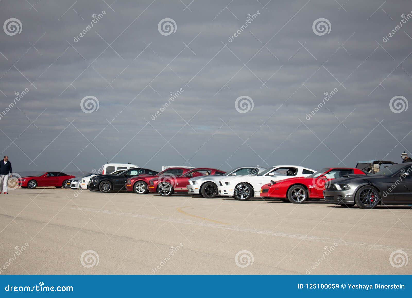 Wallpaper #6Wc87JIBSpphPi3-LlGq260 Ford Mustangs on the Race Track and on the Roads of the Desert