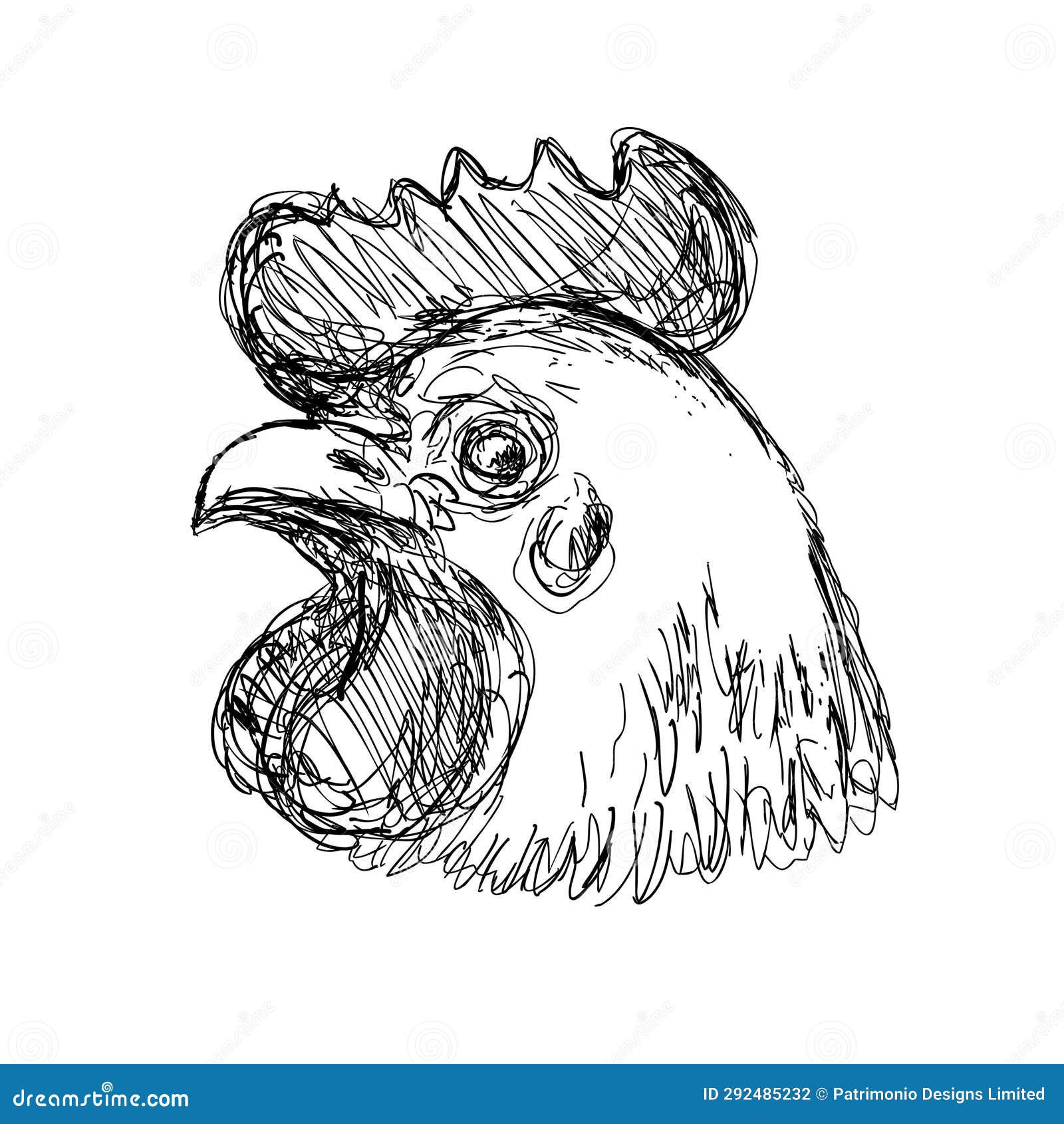 Wallpaper #fULzPJMBOBpx0NhmUcKW310 Leghorn Chicken or Hen Head Side View Drawing Stock Illustration