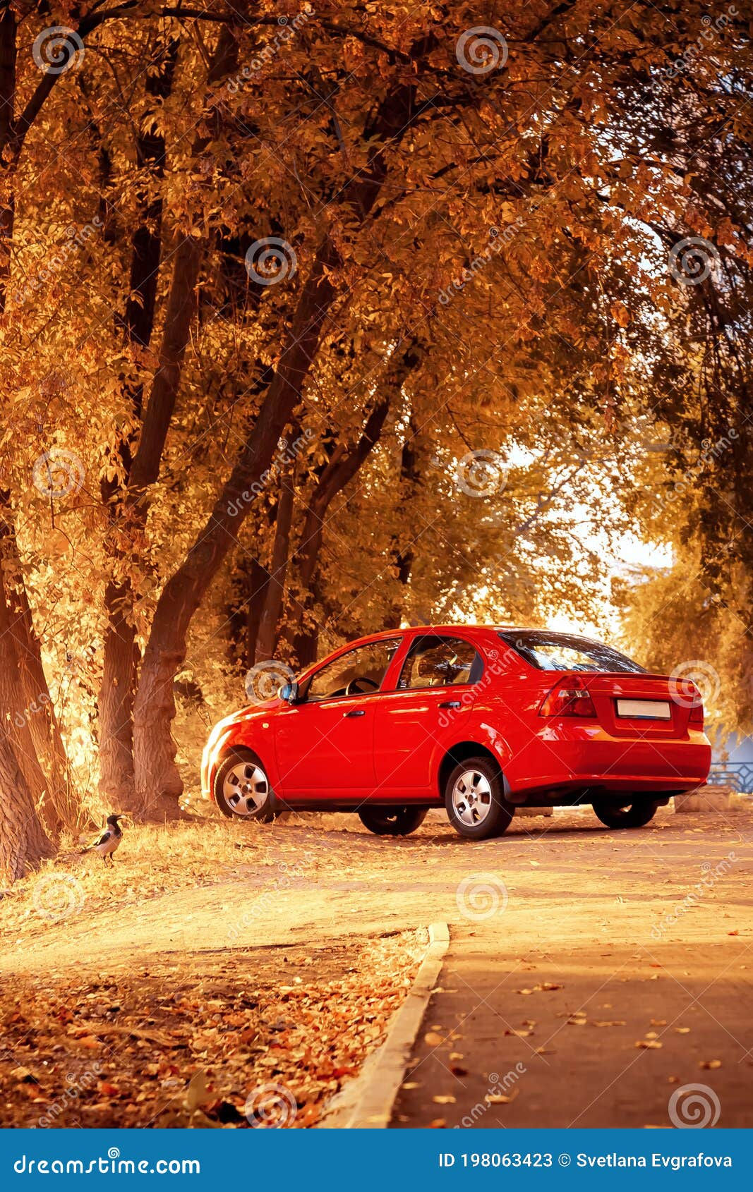 Wallpaper #rWgUHJMBSpphPi3-8SFd23 Red Autumn Car Stands Parked by the Road in Foliage Under a Bright