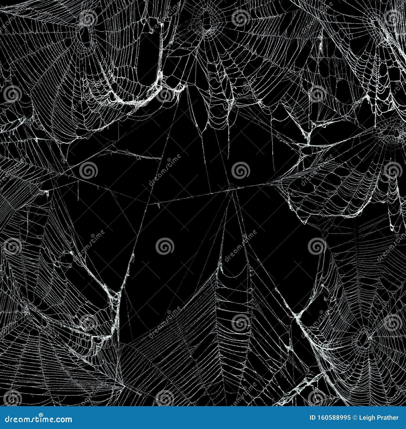 Wallpaper #V4v_dpcBcm9NJah-YnkY84 Real Spider Webs Hanging Together to Make a Frame Halloween Background