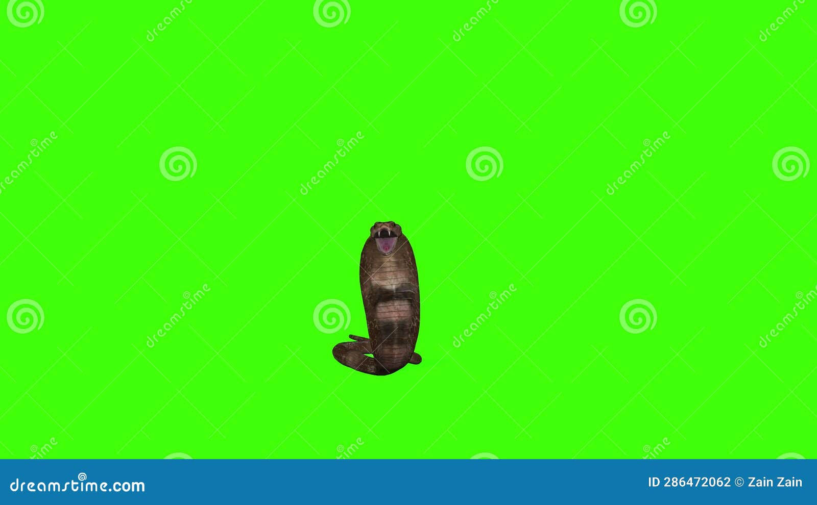 Wallpaper #vmczCZMBSpphPi3-o86c210 3D Realistic Cobra Snake Crawling on Green Screen Render Stock Footage