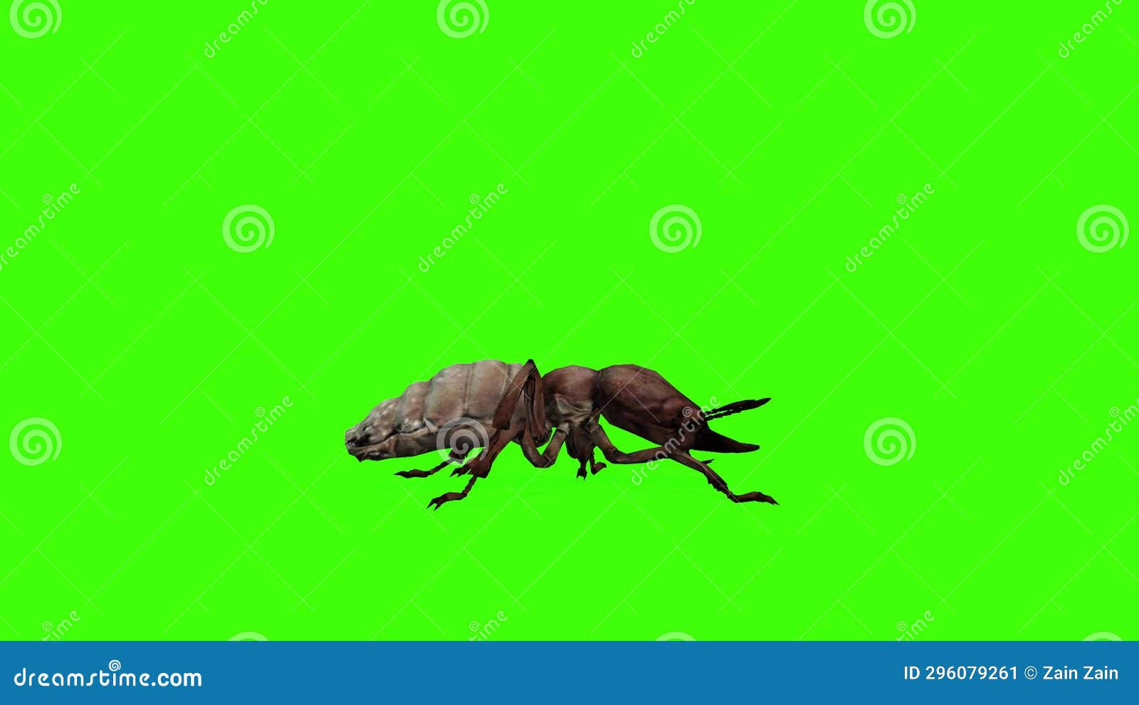 Wallpaper #vmczCZMBSpphPi3-o86c82 3D Termite Insect Walking Loop on Chroma Key with Cycle View Stock