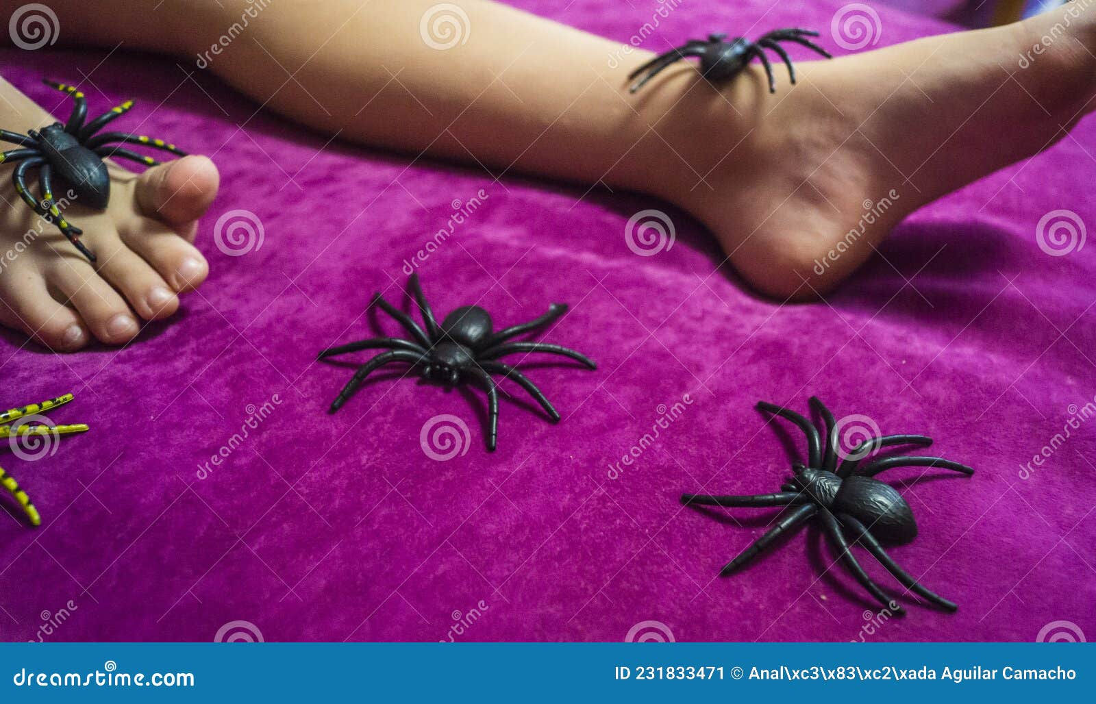 Wallpaper #tWgrGZMBSpphPi3-wxVR222 Decorative Halloween Spiders Stock Image Image of Creepy Mysterious
