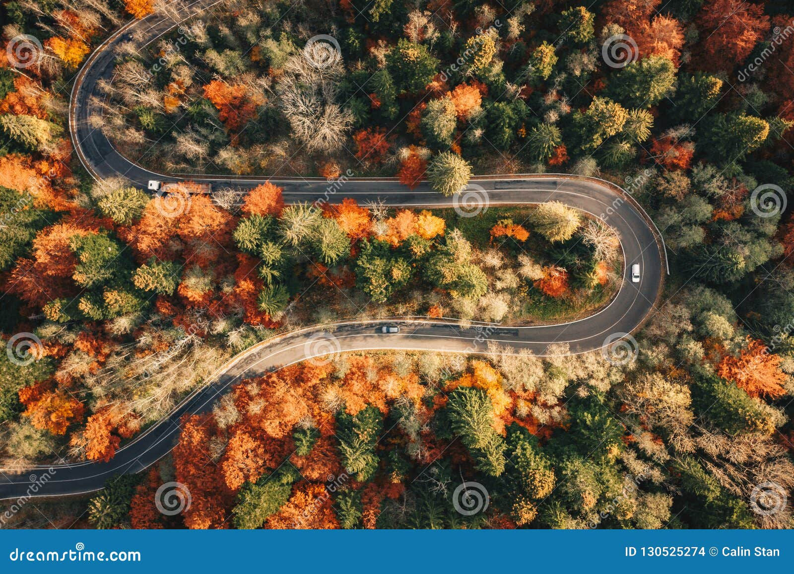 Wallpaper #rWgUHJMBSpphPi3-8SFd163 Winding Mountain Road Trough the Forest in the Autumn with Cars Stock