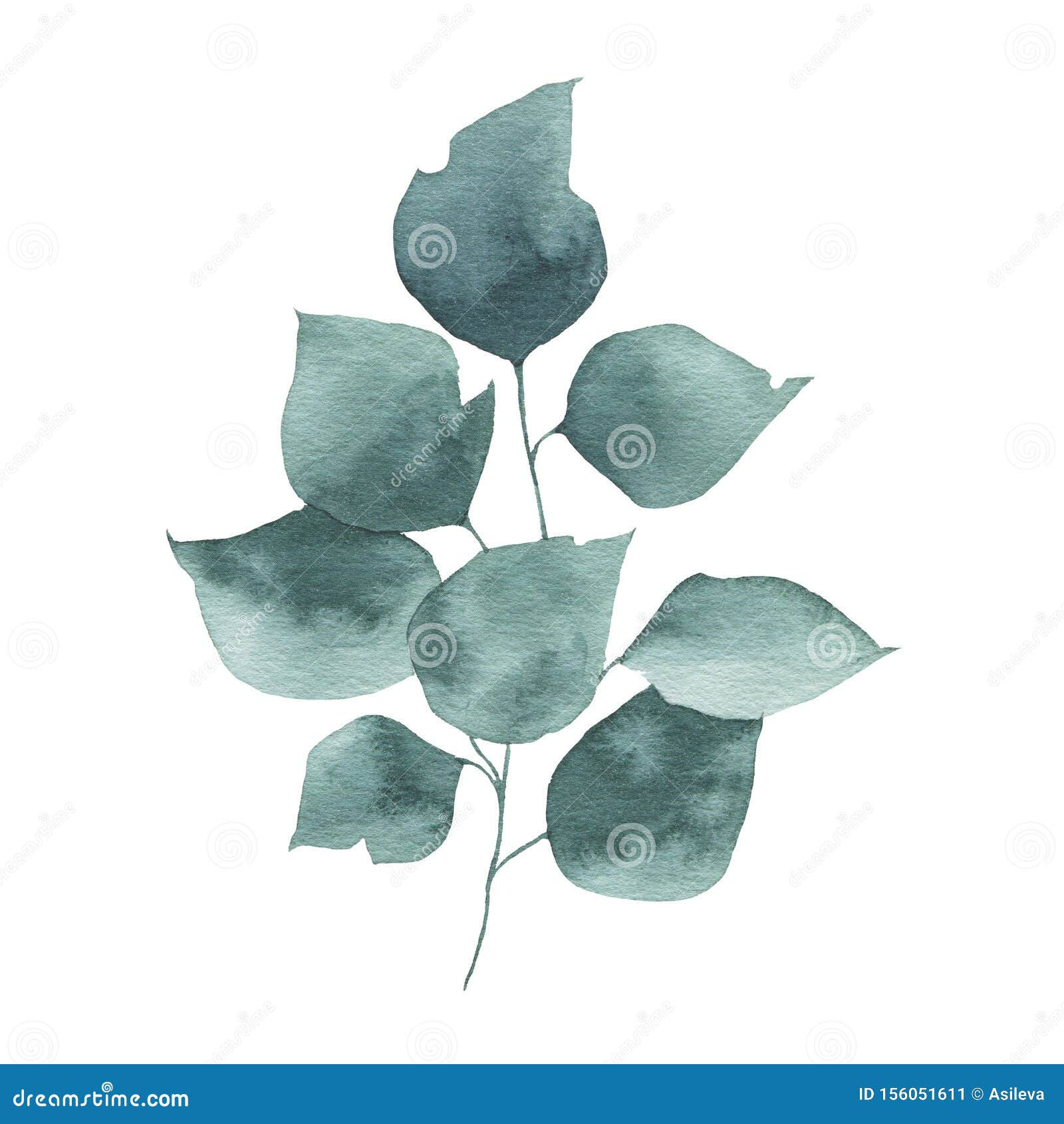 Wallpaper #lGcDC5MBSpphPi3-T9ct77 Watercolor Greenery Floral Rose Leaf Plant Forest Stock Image Image