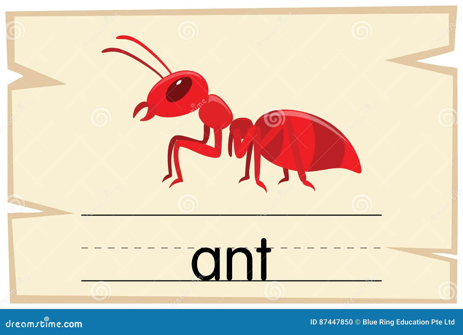 Wallpaper #9Sz7SZMB0E1QgA7wY_R5156 Wordcard Template for Word Ant Stock Vector Illustration of Graphic