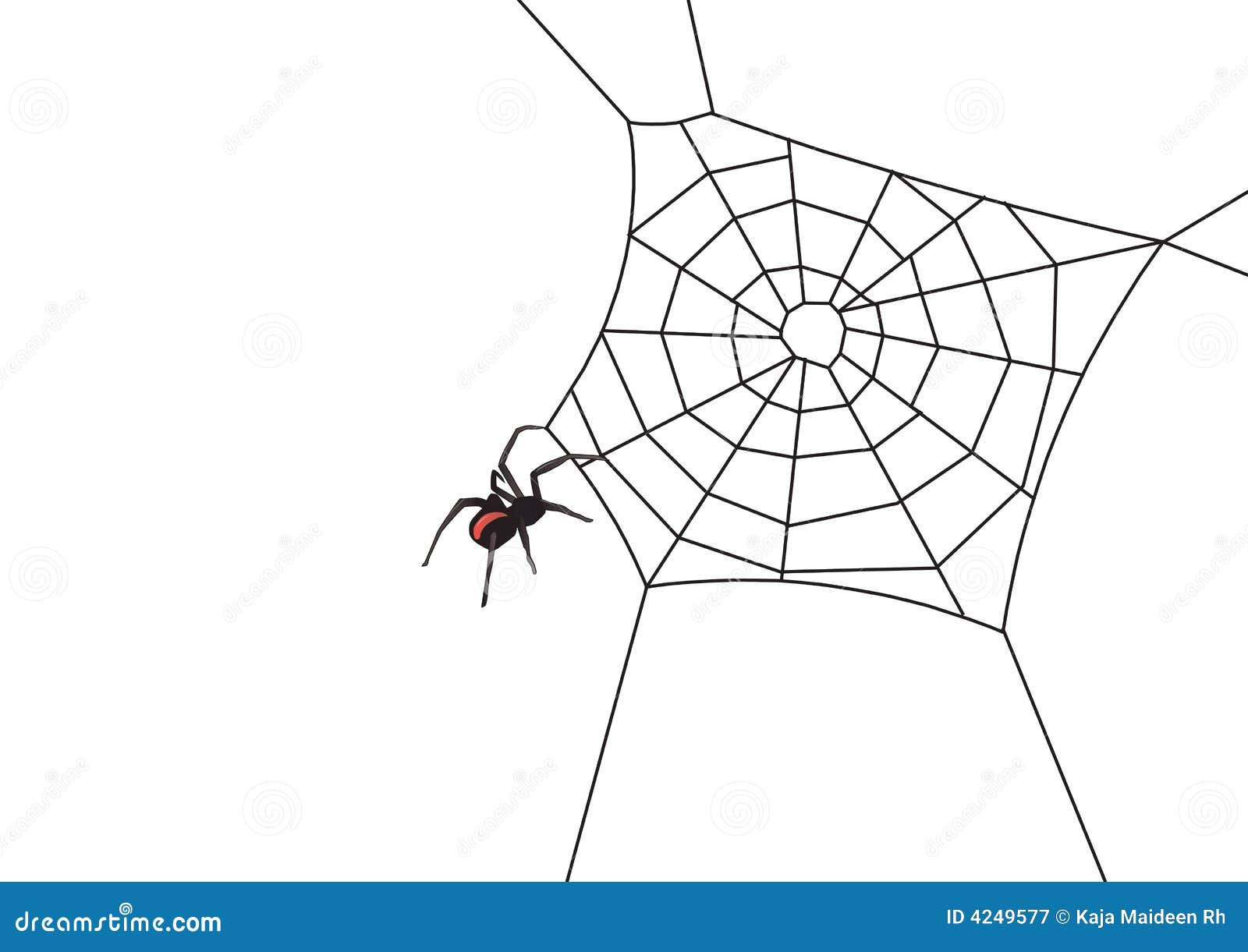 Wallpaper #52dP85IBSpphPi3-BnRA135 Web Spider Vector Stock Vector Illustration of Drawings 4249577