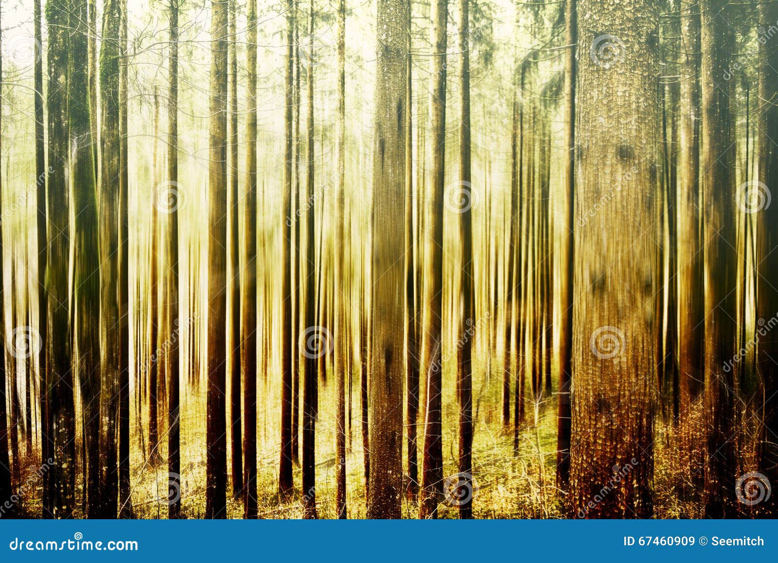 Wallpaper #qh0TLZMBlOZrFDOkGc5n145 Abstract Forest Background Stock Image Image of Design 67460909