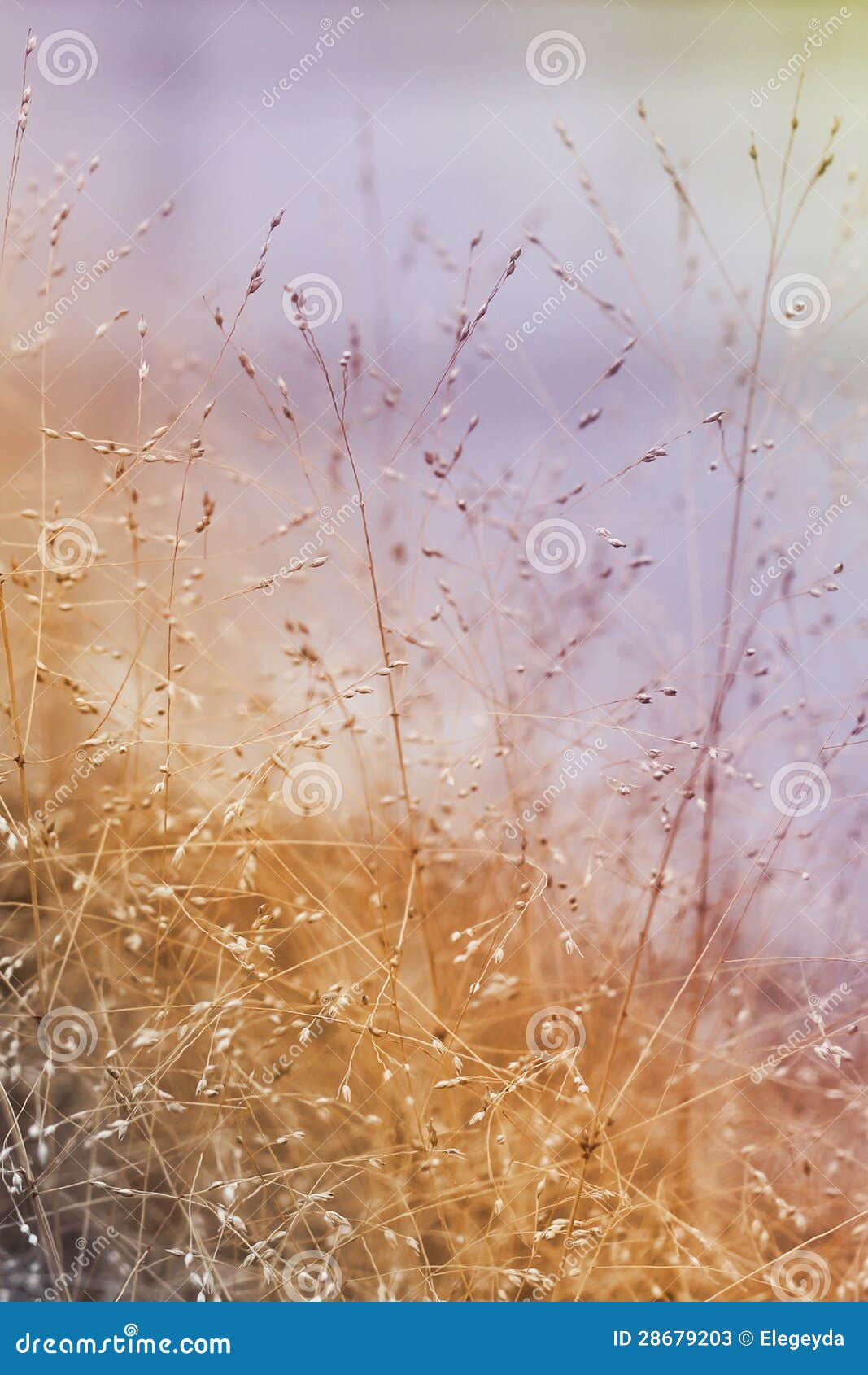 Wallpaper #1mjGGZMBSpphPi3-6hiW151 Abstract Nature Background Stock Image Image of Field 28679203