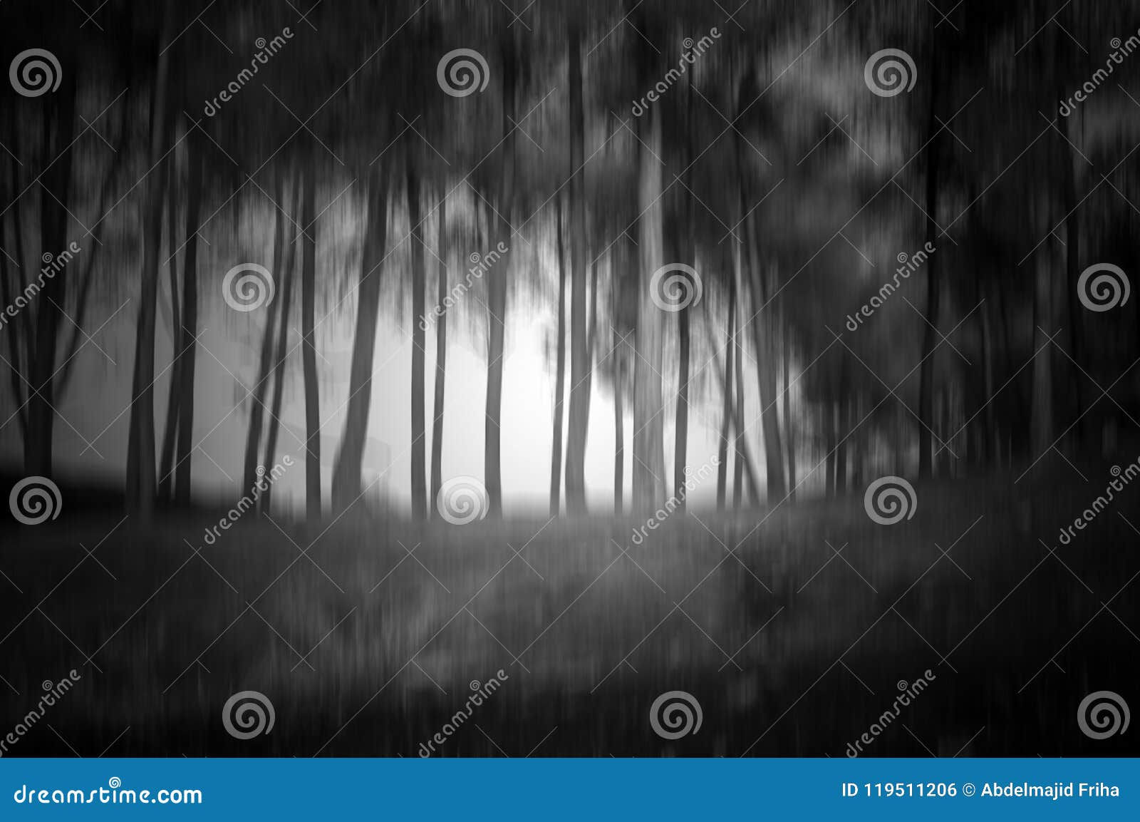Wallpaper #r2fTEJMBSpphPi3-HPTq235 Abstract Motion Blur Forest Stock Photo Image of Motion Background