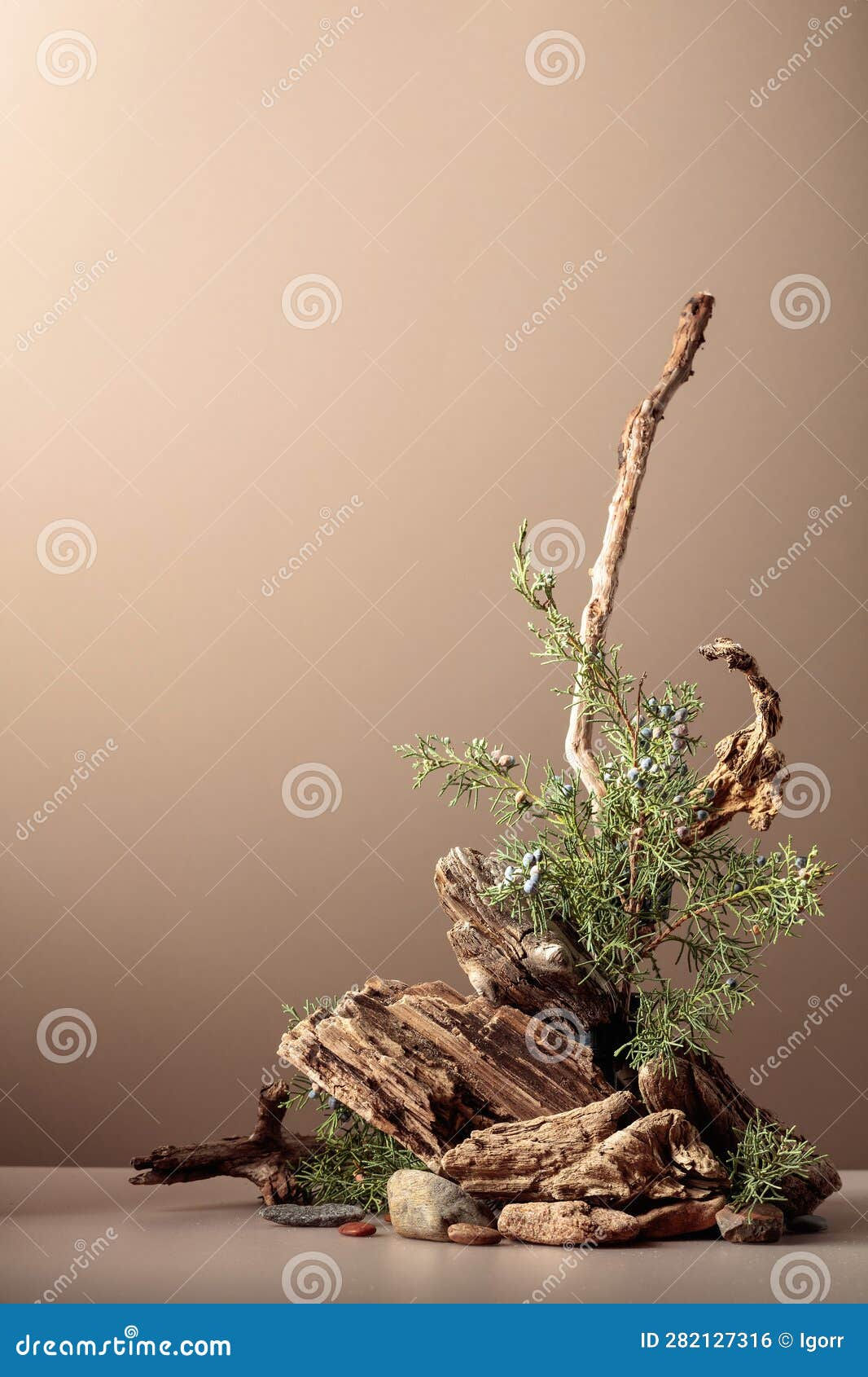 Wallpaper #9GjNGZMBSpphPi3-4hi1150 Abstract Nature Scene with a Composition of Juniper and Dry Snags Stock