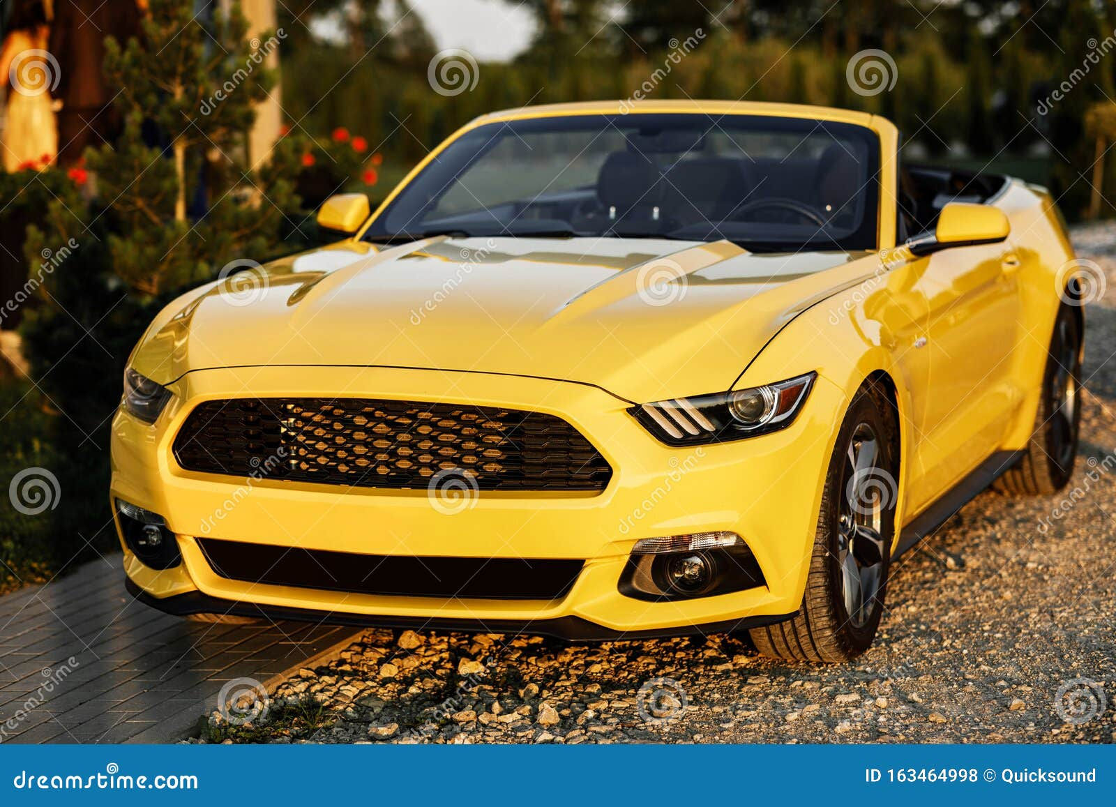 Wallpaper #LJ9kWZMBcUVgGJNoqrJ095 Amarillo Ford Mustang Foto De Archivo Imagen De Mustango 163464998