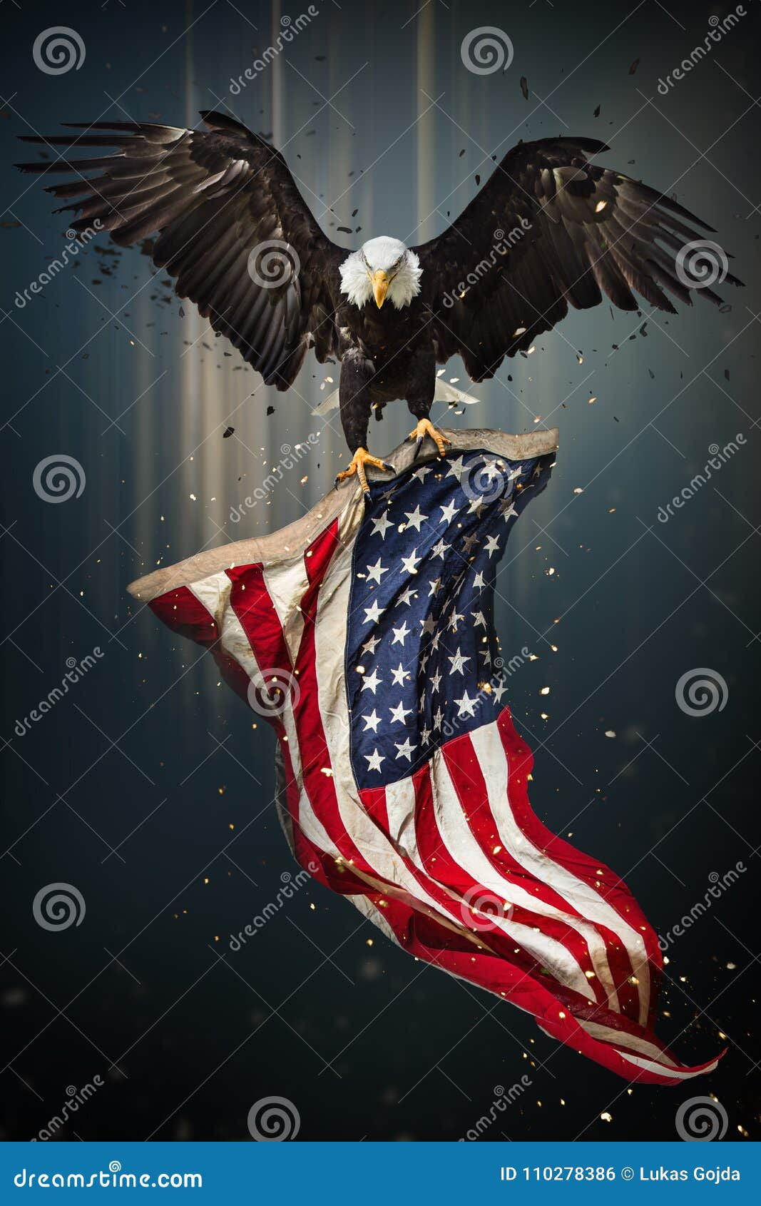 Wallpaper #6ef95 11209 Gier Eagle Images Stock Photos Vectors Shutterstock