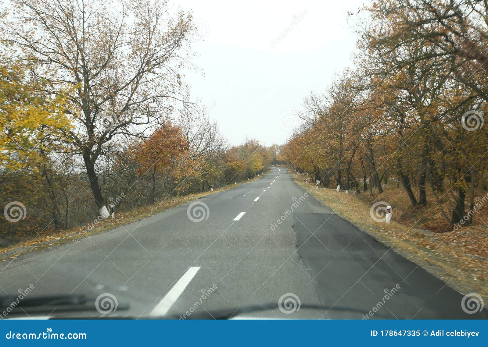 Wallpaper #rWgUHJMBSpphPi3-8SFd242 Autumn Season Way Shot from a Car a Man Driving a Car on an Autumn