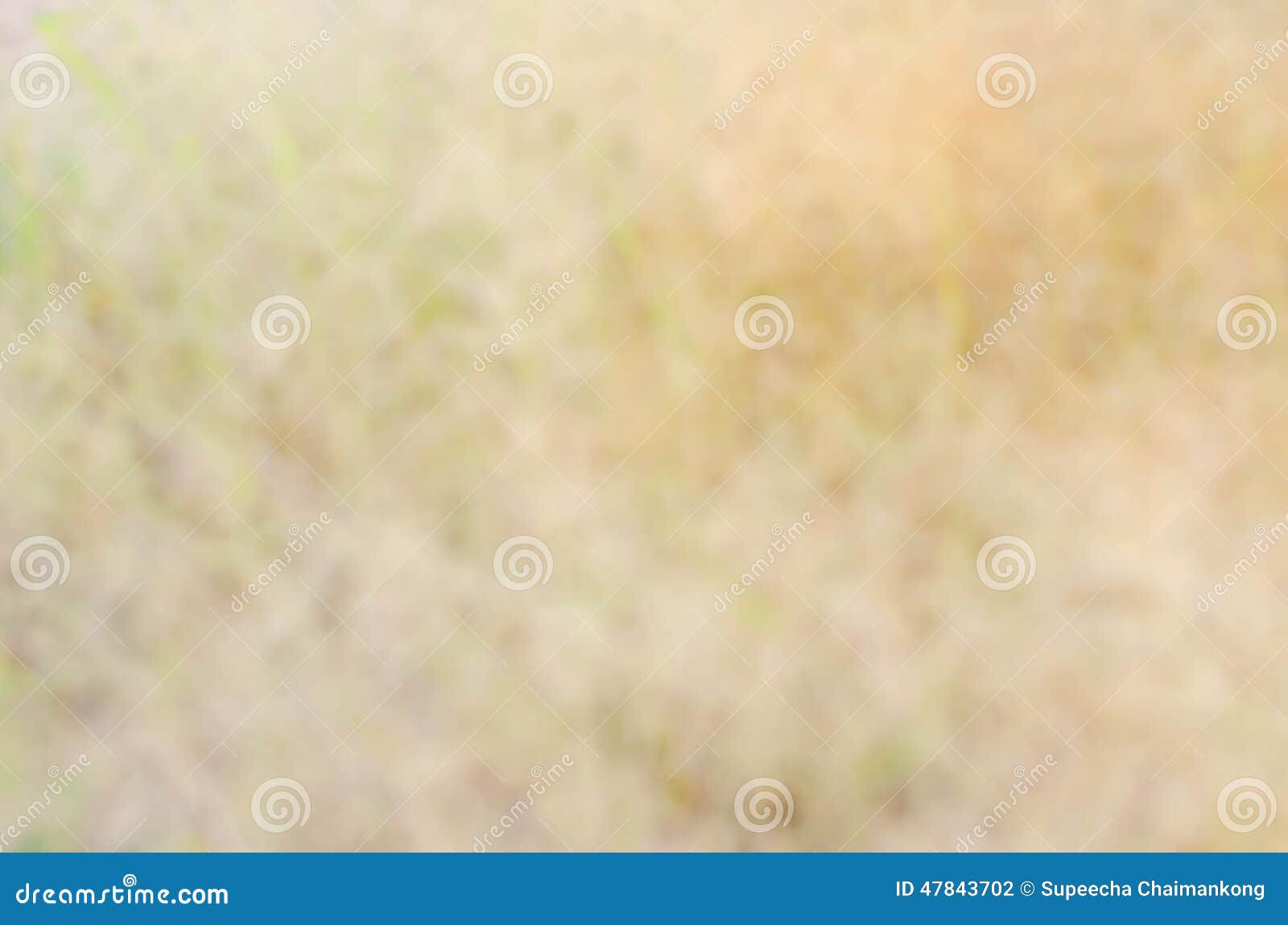 Wallpaper #1mjGGZMBSpphPi3-6hiW286 Abstract Backgrounds Stock Photo Image of Gardening 47843702