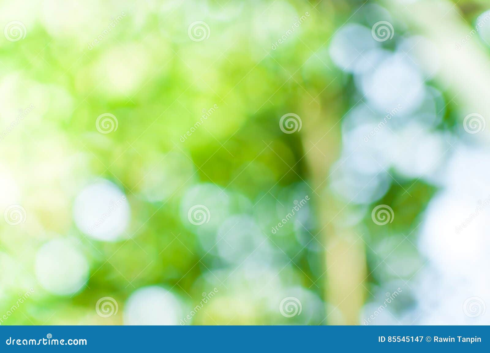 Wallpaper #gHdqKJMB-pgBXx60Yaql184 Abstract Nature Green Bokeh from Tree Background Stock Image Image of