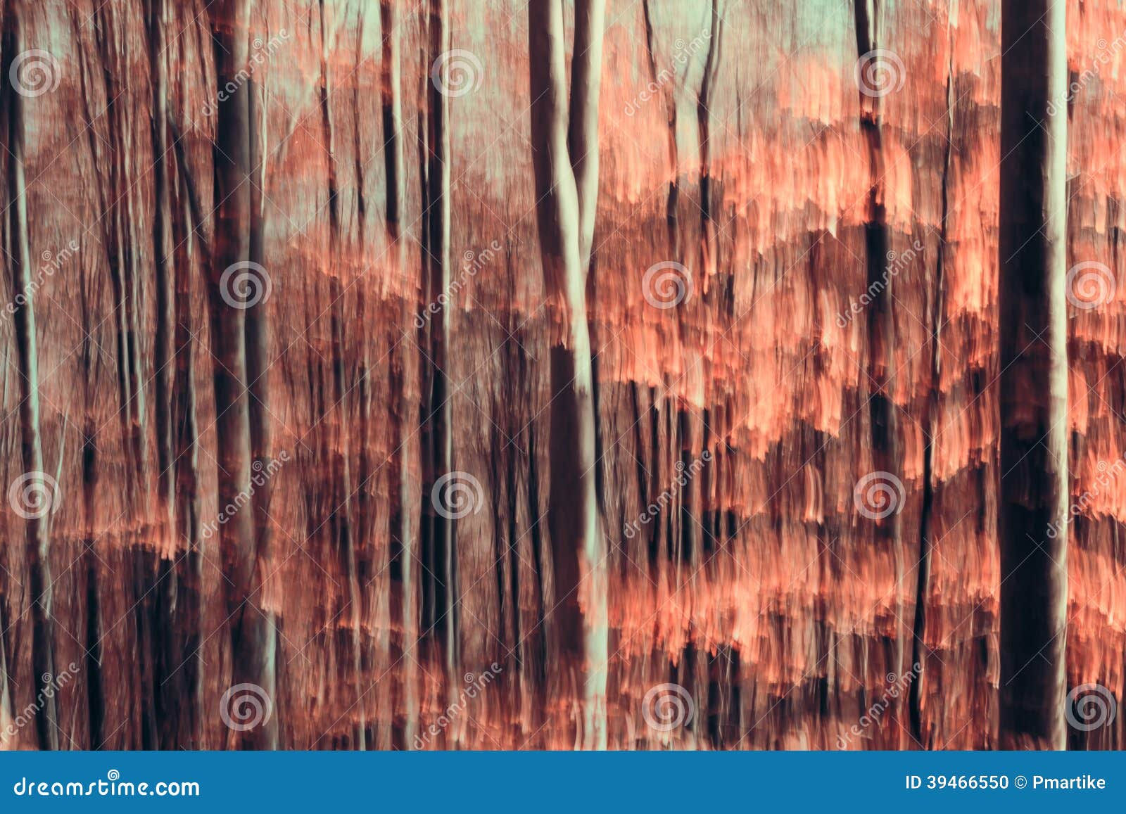 Wallpaper #r2fTEJMBSpphPi3-HPTq144 Abstract Forest Stock Photo Image of Canvas Abstract 39466550