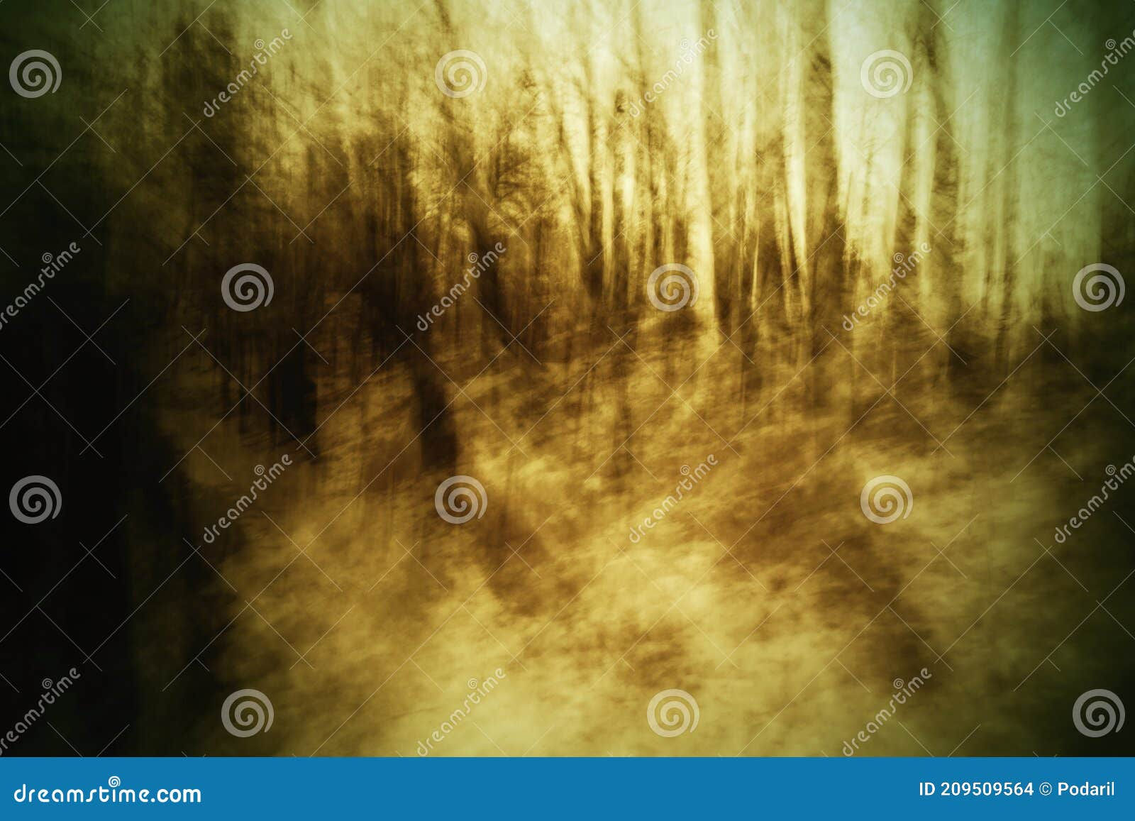 Wallpaper #r2fTEJMBSpphPi3-HPTq230 Abstract Forest Stock Photo Image of Pattern Natural 209509564