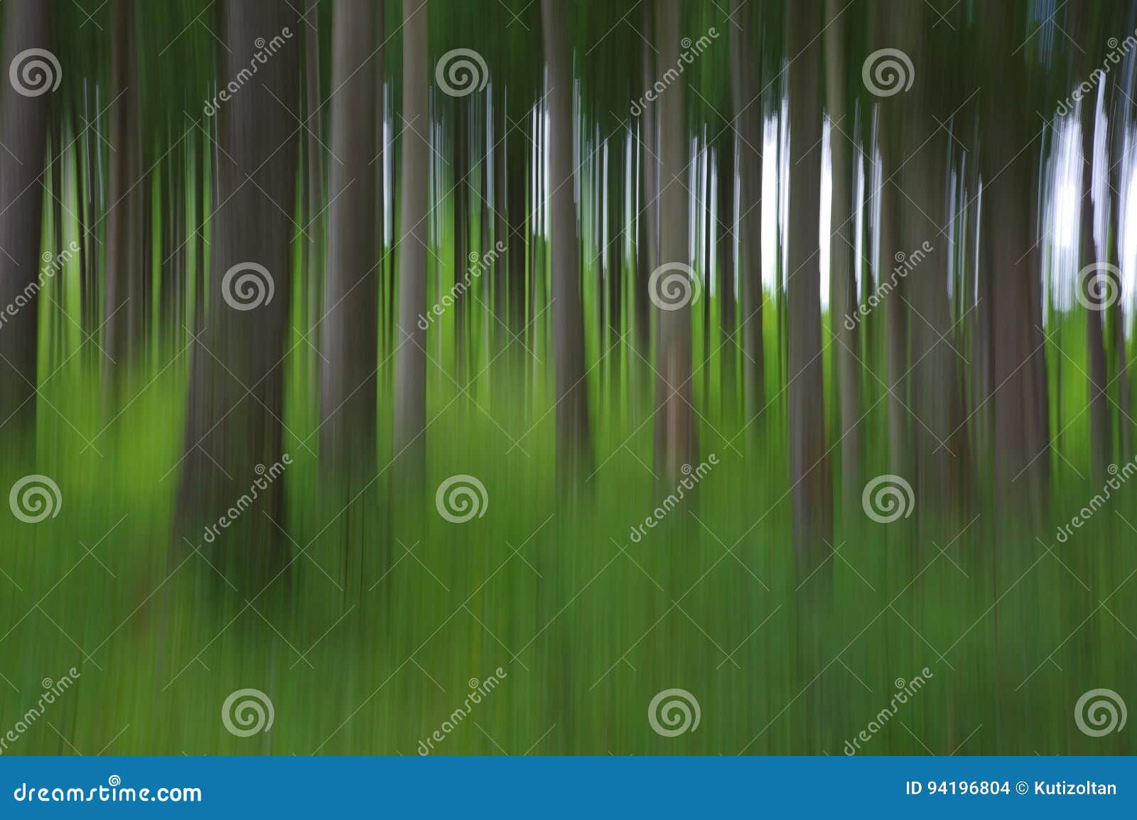 Wallpaper #BGdQC5MBSpphPi3-qtkV184 Abstract Blurry Pine Tree Forest Stock Photo Image of Deco Green